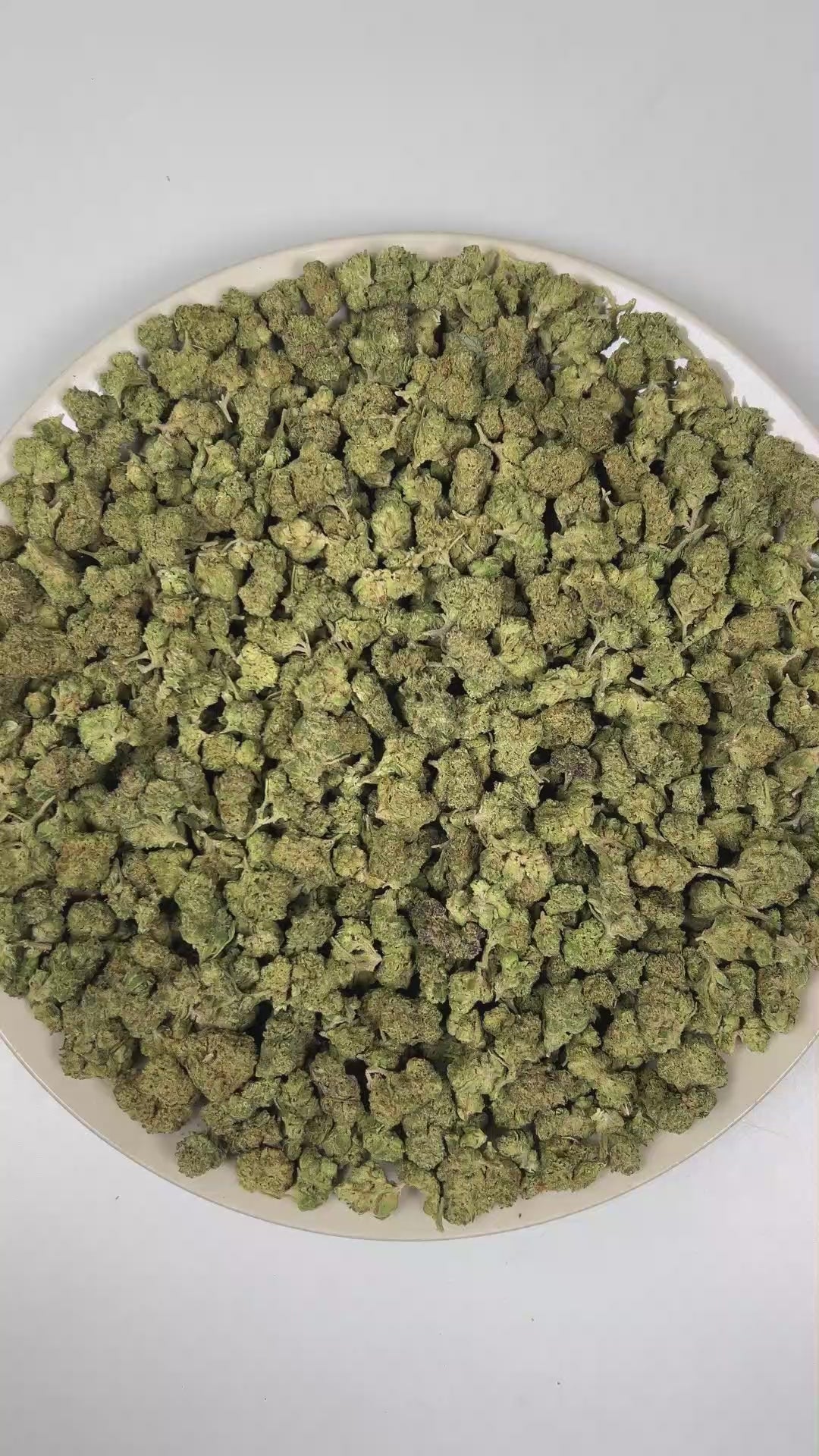 PUFFY Frosted Cherry (smalls) is a balanced hybrid THCa strain resulting from the strategic pairing of Cherry Cookies and The White. The aroma unfolds with warm, peppery spice notes, layered with fresh, green herbal undertones, and grounded by a rich, earthy woody base. Visually, dense green buds with purple hues and fiery orange pistils are coated in sticky trichomes. Consumers often report an experience of euphoric, content, and deeply relaxed sensations accompanied by an uplifted mood. 