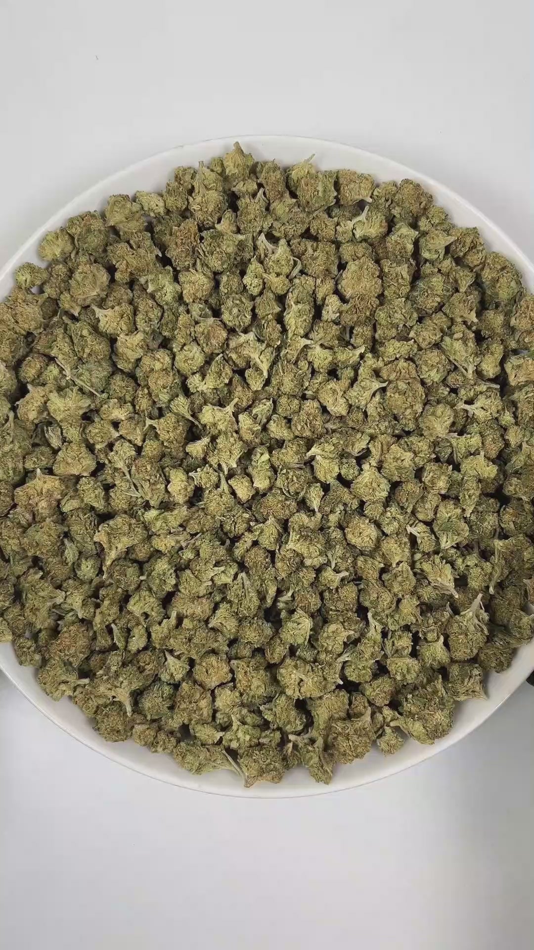 PUFFY Dosido (smalls) is an indica-dominant hybrid THCa strain, born from the legendary cross of Girl Scout Cookies (GSC) × Face Off OG. The aroma is a rich blend of sweet, baked cookie notes, layered with dank and funky undertones that create a deeply enticing and complex scent. Visually striking, with dense medium buds in deep green and purple tones, accented by bright orange pistils and a frosty coat of milky-white trichomes. Consumers often report a calming body high with uplifting mental clarity, makin
