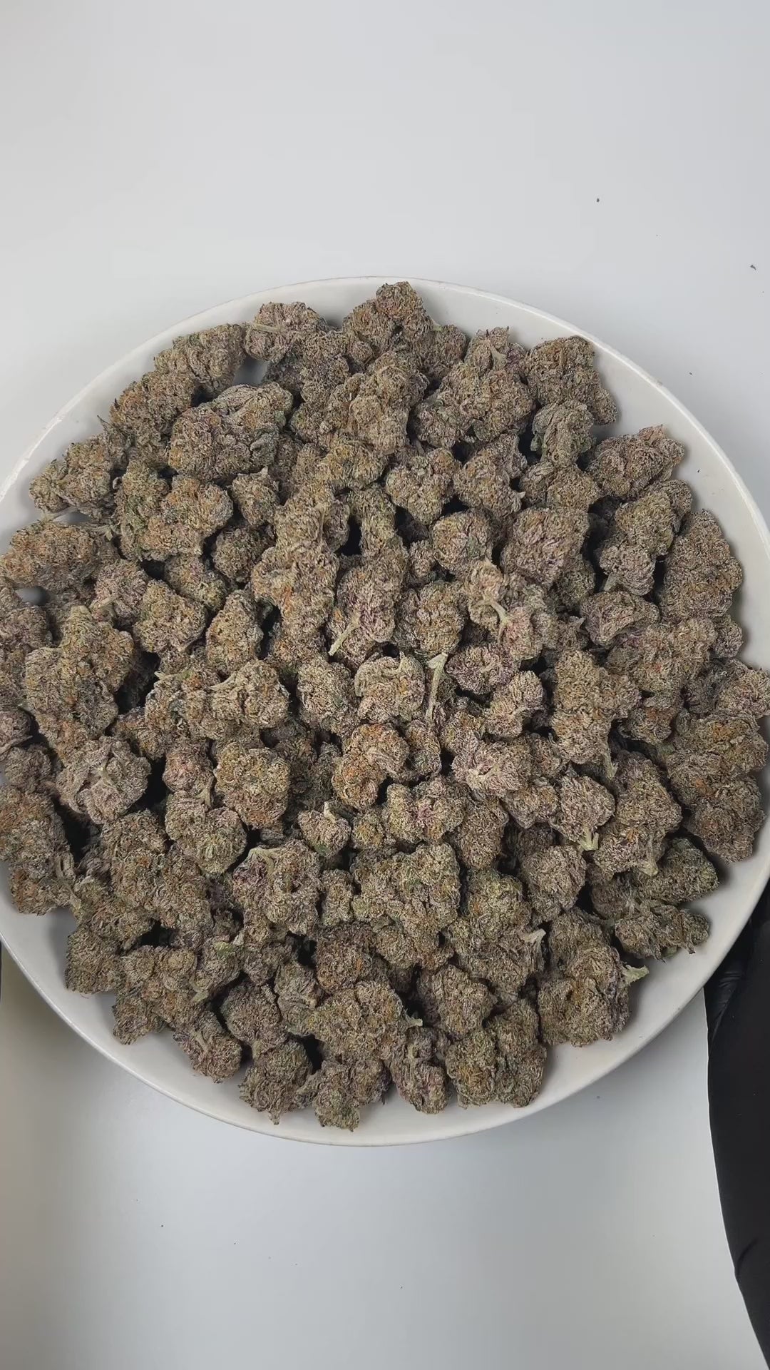 Original Z THCa Flower (Exotic) (Indica Hybrid) | PUFFY