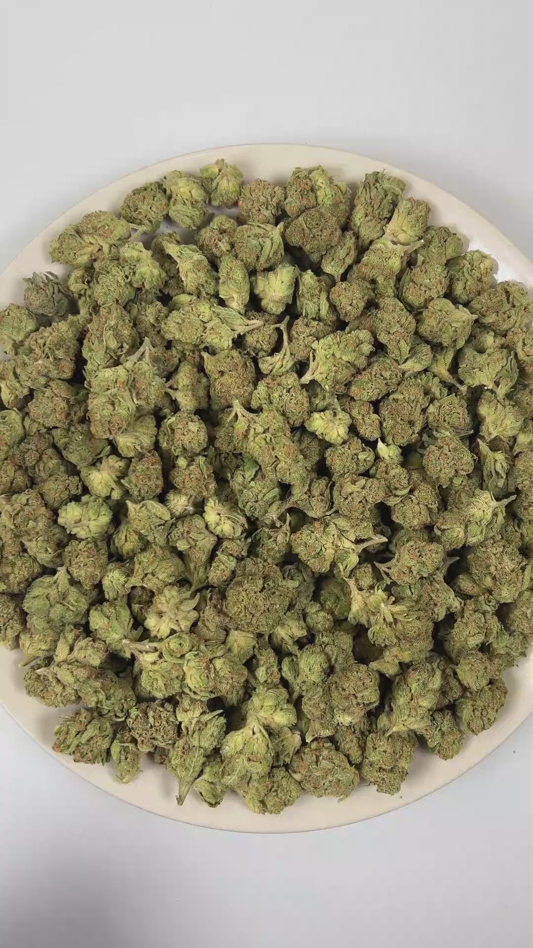 PUFFY Velvet Punch is an indica-dominant hybrid THCa strain crafted from the standout genetics of  GMO and Nookies. Aroma is a bright blend of crisp green apples layered with juicy berries and a zesty hint of fresh lemon. Visually, dense spring green buds with purple hues and fiery orange pistils are coated in sticky trichomes. Consumers often report feeling euphoric and deeply relaxed, followed by a sleepy, calming effect that encourages rest and unwinding. 