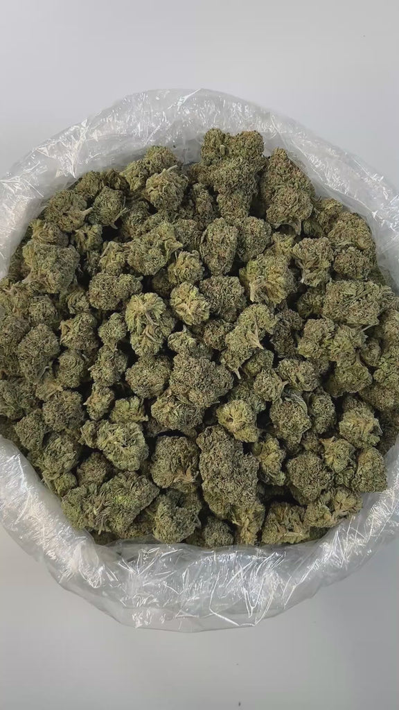 PUFFY Stuntz is an indica-dominant hybrid THCa strain crafted from the flavorful genetics of Strawberry Runtz and Papaya. The aroma is intensely bold, blending gassy fumes, sharp diesel notes, and a deep, funky undertone that hints at its potent effects. Visually striking, this strain features dense green buds with pink, purple, or strawberry hues, coated in glistening trichomes. Consumers report a balanced experience of uplifting euphoria and calming relaxation, often noting mood elevation, stress relief, 