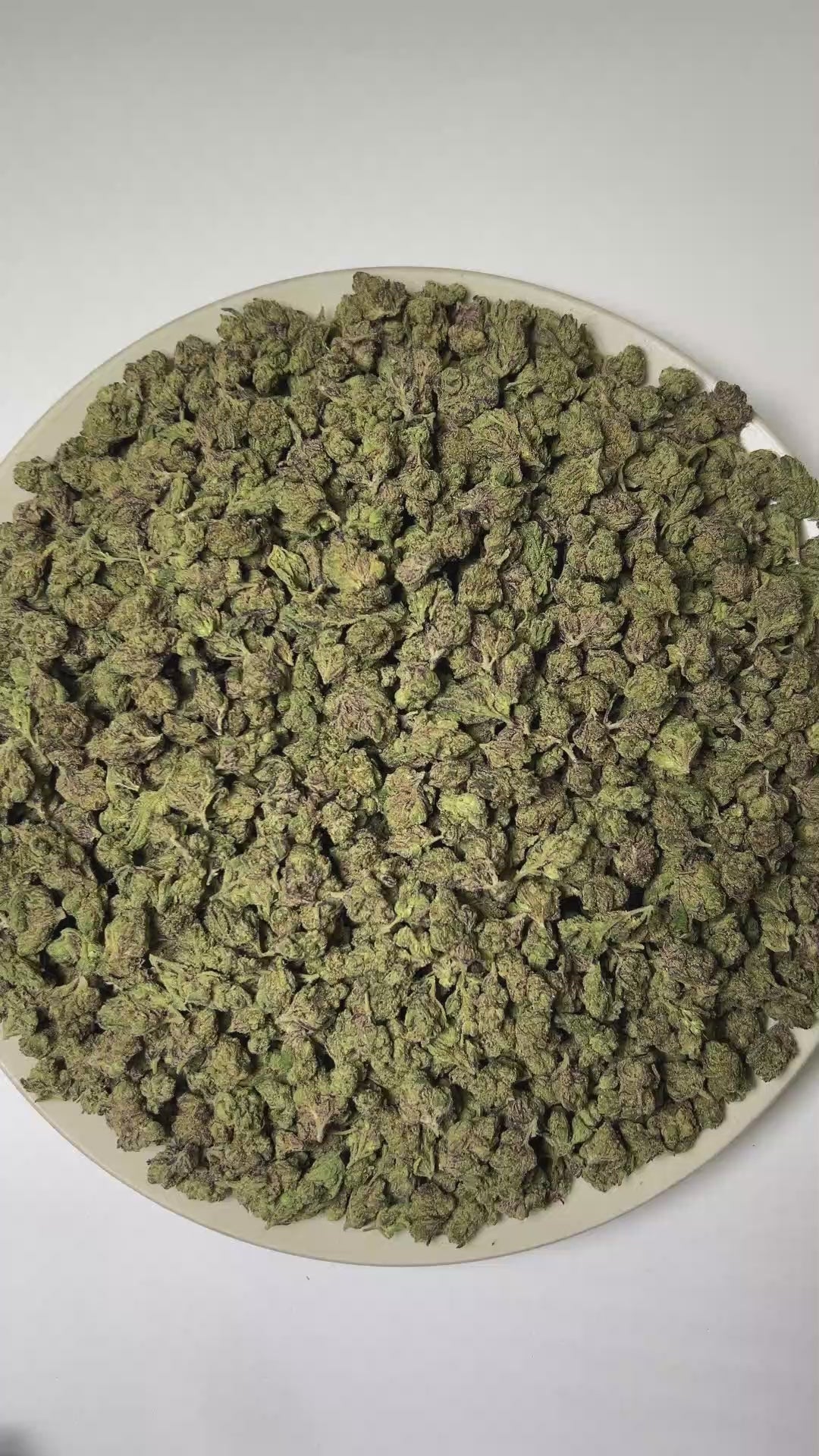 PUFFY Tropical Runtz (smalls) is a sativa-dominant hybrid THCa strain developed by combining the renowned genetics of Runtz and Tropic Truffle. The aroma is a delightful blend of candy-like sweetness, juicy fruit notes, and vibrant tropical nuances. Visually, dense forest green buds with purple hues and fiery orange pistils are coated in sticky trichomes. Consumers often report an uplifting wave of euphoria that sparks creativity, sharpens focus, encourages sociability, and gradually settles into a calm, de
