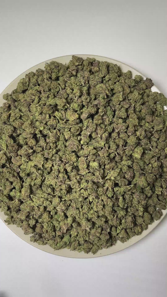 PUFFY Tropical Runtz (smalls) is a sativa-dominant hybrid THCa strain developed by combining the renowned genetics of Runtz and Tropic Truffle. The aroma is a delightful blend of candy-like sweetness, juicy fruit notes, and vibrant tropical nuances. Visually, dense forest green buds with purple hues and fiery orange pistils are coated in sticky trichomes. Consumers often report an uplifting wave of euphoria that sparks creativity, sharpens focus, encourages sociability, and gradually settles into a calm, de