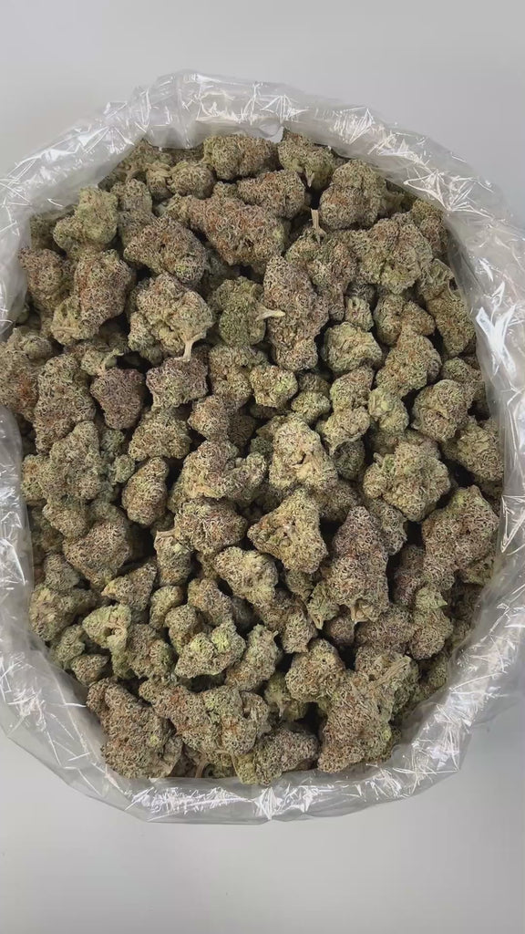 PUFFY Peanut Butter Punch is a potent indica-dominant hybrid THCa strain, born from the flavorful union of Dosidos and Purple Punch 2.0. Its aroma is a vibrant blend of tropical fruit and citrus, layered with sharp, chemical-like undertones. This strain delights the senses with a sweet yet savory flavor profile that blends rich, creamy peanut butter with subtle earthy herbal undertones. Visually, the buds are striking, dense, frosty, and colorful adorned with vibrant orange pistils that hint at its potency.