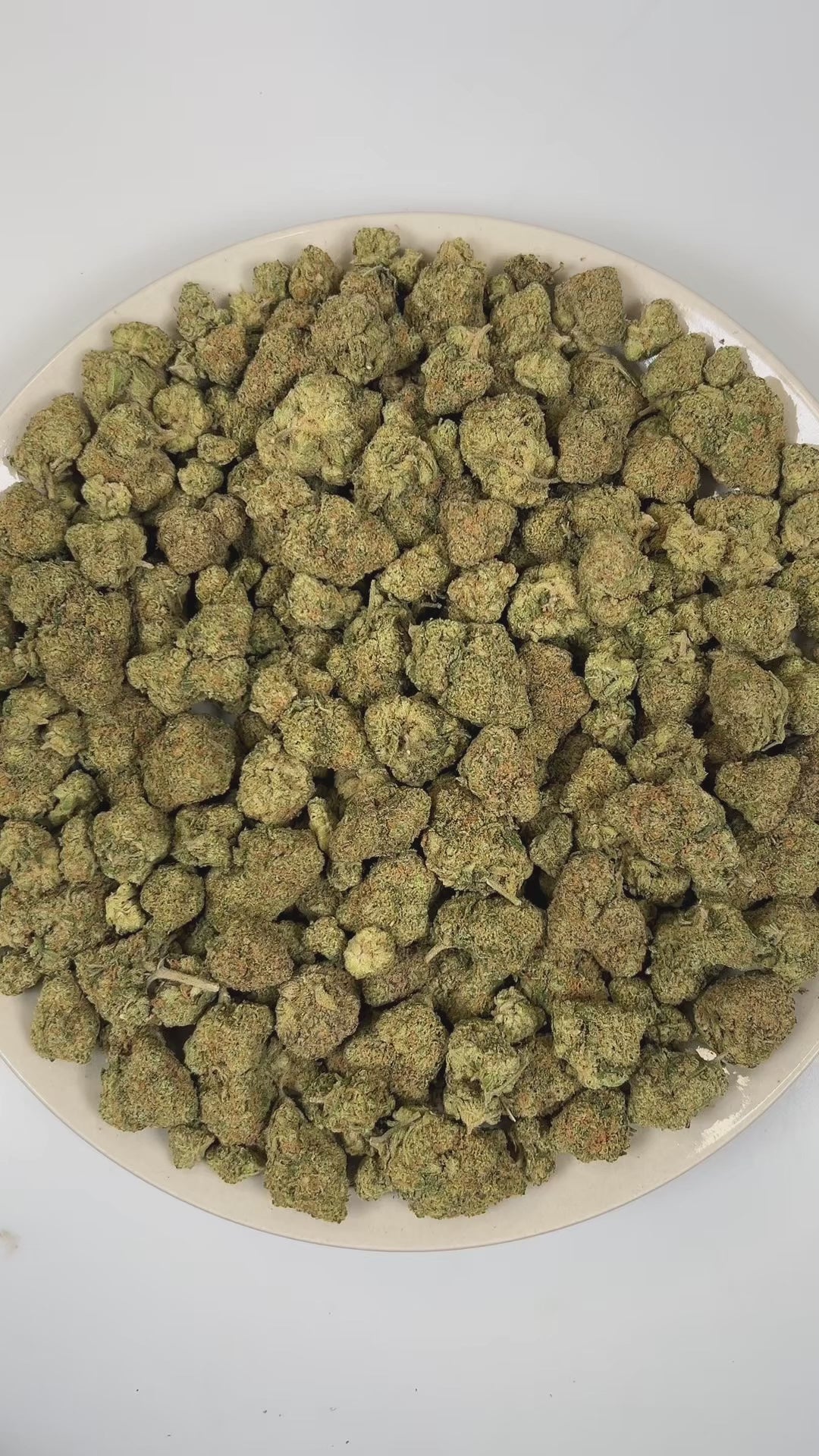 PUFFY Super Mango Haze is a sativa-dominant hybrid THCa strain bred from the exceptional pairing of Green Crack and Tropical Heat. The aroma is a striking blend of sharp chemicals, sweet tropical notes, and a pungent hint of ammonia. Visually, dense forest green buds with purple hues and fiery orange pistils are coated in sticky trichomes. Consumers often report a strong cerebral effect that is euphoric, energetic, and focused, delivering a creative and uplifting mood boost while also being commonly sought 