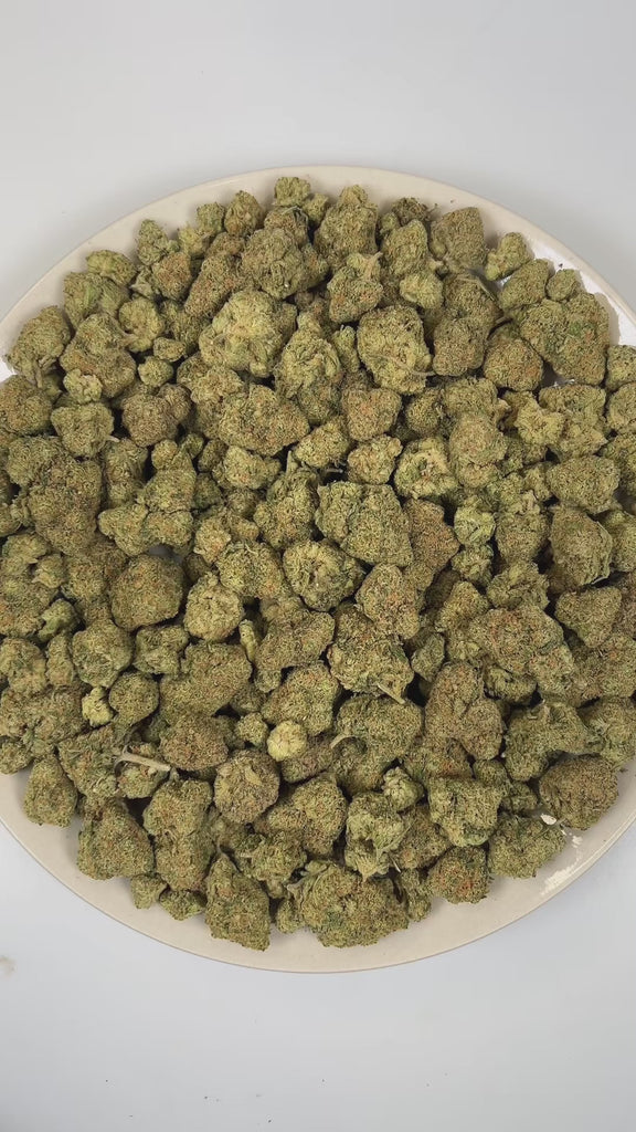 PUFFY Super Mango Haze is a sativa-dominant hybrid THCa strain bred from the exceptional pairing of Green Crack and Tropical Heat. The aroma is a striking blend of sharp chemicals, sweet tropical notes, and a pungent hint of ammonia. Visually, dense forest green buds with purple hues and fiery orange pistils are coated in sticky trichomes. Consumers often report a strong cerebral effect that is euphoric, energetic, and focused, delivering a creative and uplifting mood boost while also being commonly sought 
