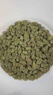 PUFFY Bluephoria is a balanced hybrid THCa strain, born from the renowned cross of Glitter Bomb × Good Greens Candy. The aroma is pungent and gassy, with bright bursts of berry and a zesty lime twist. Visually, dense deep green buds with purple hues and fiery orange pistils are coated in sticky trichomes. Consumers often report an invigorating mental lift that fuels creativity and social moments, while a smooth, relaxing body buzz melts away tension.