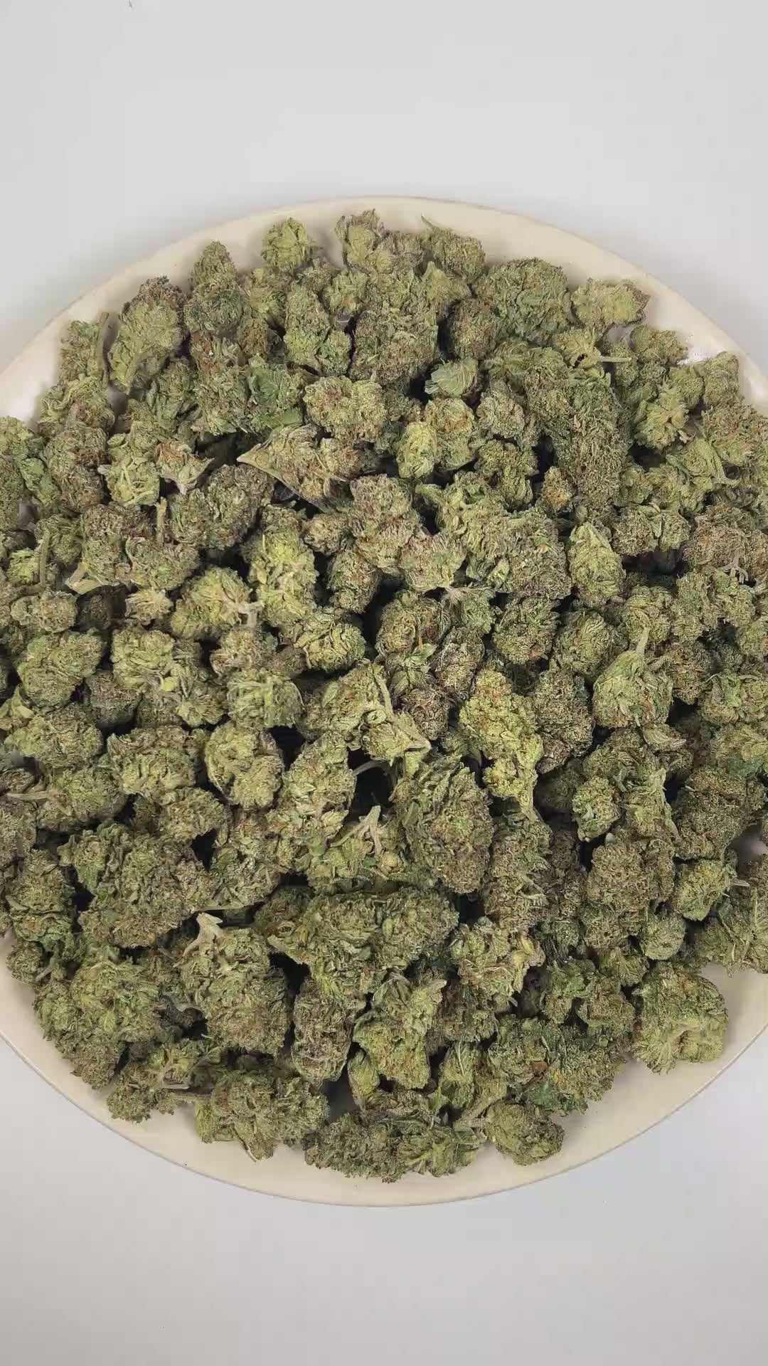 PUFFY Pink Bacio is a balanced hybrid THCa strain developed through the genetic pairing of Pink Runtz and Bacio Gelato. The aroma unfolds with a rich herbal freshness layered over soft floral notes, accented by warm, aromatic spices. Visually, dense forest green buds with purple hues and fiery orange pistils are coated in sticky trichomes. Consumers often report an uplifting euphoric and positive shift in mood that enhances creativity, encourages a calm, easygoing sense of relaxation, and delivers full-body