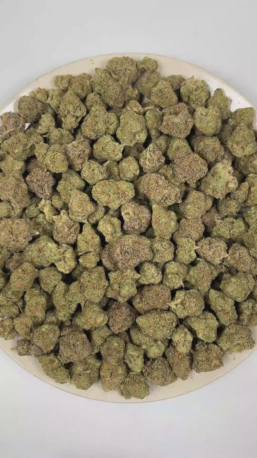 PUFFY Blueberry Pancake is an indica-dominant hybrid THCa strain born from the cross of DJ Short Blueberry and either Purple Panty Dropper or a hybrid with Slurricane. The aroma features luscious blueberry notes layered with sugary sweetness and a nostalgic candy-like finish. Visually, the buds are dense and heavily coated in trichomes, displaying a vibrant mix of deep green, blue-purple, and olive tones, accented by bright orange pistils and a thick layer of visible resin. Consumers often report a soothing