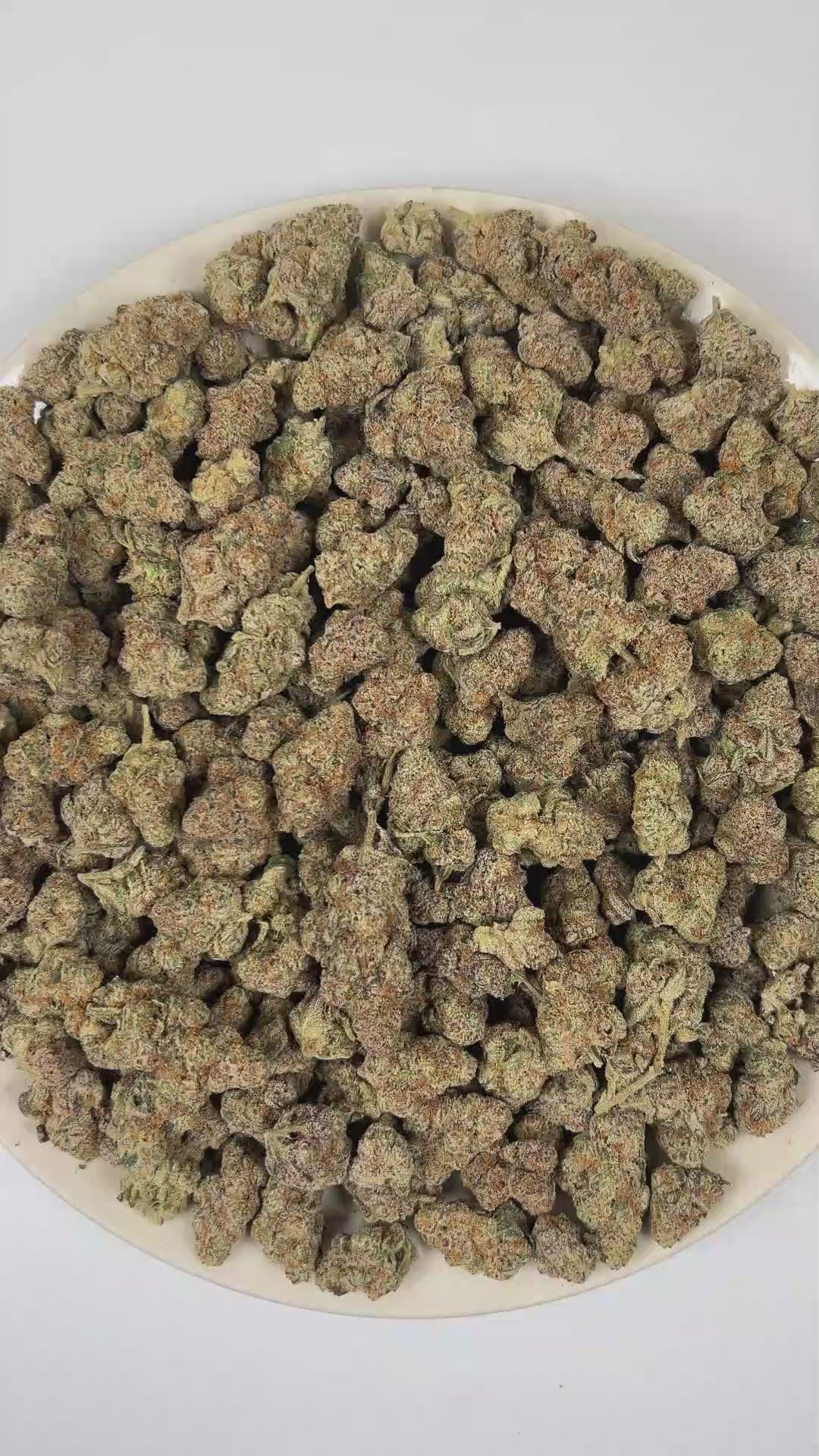 PUFFY THC Bomb is a balanced hybrid THCa strain bred from undisclosed parent genetics, developed specifically to maximize potency and yield rather than maintain a publicly documented lineage. The aroma is a vibrant fusion of lively citrus, crisp pine, and sweet, juicy orange. Visually, dense forest green buds with hints of purple are threaded with fiery orange pistils and coated in a sparkling layer of sticky trichomes. The consumers often report a euphoric mental uplift accompanied by a smooth, relaxing bo