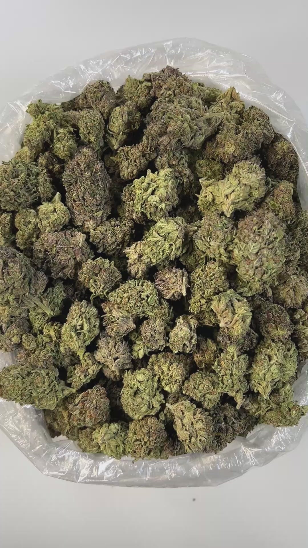 PUFFY Jelly Cake is an indica-dominant hybrid THCa strain resulting from a flavorful cross between Biscotti and Sunset Sherbet. The aroma is a delicate fusion of creamy richness and soft floral notes, creating a smooth and inviting sensory experience. The buds are dense and chunky with deep green and purple hues, bright orange pistils, and a thick layer of sticky white trichomes. Consumers often report euphoric effects that start with an uplifting boost in mood and happiness, gradually easing into a calming