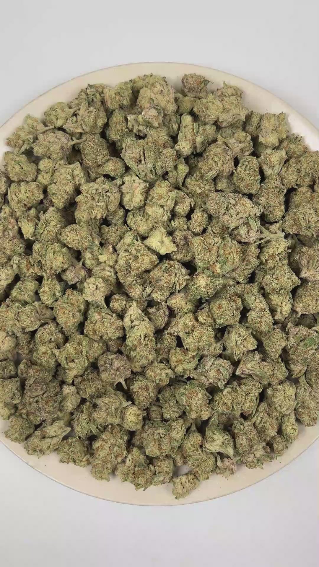 PUFFY Blueberry Punch is a balanced hybrid THCa strain produced from the distinctive union of Blueberry and Romulan. The aroma opens with ripe blueberries, layered with a distinctive beer-like maltiness and a tangy sour finish. Visually, dense forest green buds with purple hues and fiery orange pistils are coated in sticky trichomes. Consumers often report a euphoric, lively, and creatively inspired mindset alongside a soothing physical calm and enhanced appetite. 