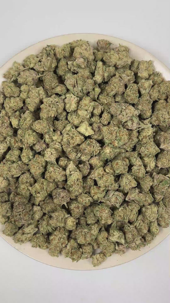 PUFFY Blueberry Punch is a balanced hybrid THCa strain produced from the distinctive union of Blueberry and Romulan. The aroma opens with ripe blueberries, layered with a distinctive beer-like maltiness and a tangy sour finish. Visually, dense forest green buds with purple hues and fiery orange pistils are coated in sticky trichomes. Consumers often report a euphoric, lively, and creatively inspired mindset alongside a soothing physical calm and enhanced appetite. 