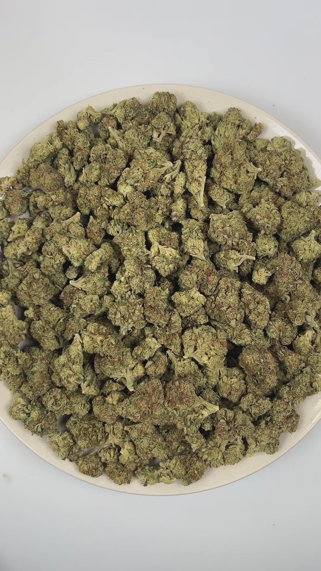 PUFFY Maui Kush is a sativa-dominant hybrid THCa strain crafted through the refined union of Maui Waui and OG Kush. The aroma opens with bold notes of kush and pungent garlic layered over a rich earthy undertone. Visually, dense spring green buds with purple hues and fiery orange pistils are coated in sticky trichomes. Consumers often report a euphoric and uplifting experience that sharpens focus, boosts motivation, sparks creativity and energy, while providing a gentle, soothing body relaxation.