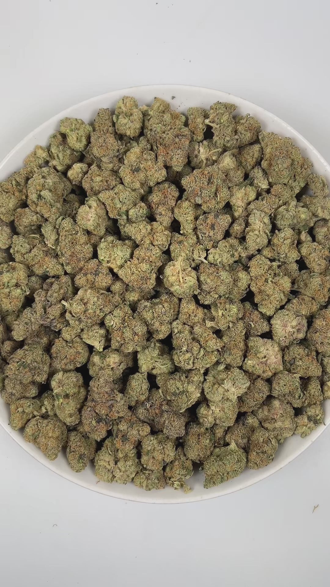 PUFFY Wedding Cake is an indica-dominant hybrid THCa strain created by crossing Triangle Cherry Pie and Girl Scout Cookies (GSC). The aroma is a bold and intriguing blend of gassy fuel notes, refreshing mint, and a distinctive skunky undertone. Visually, the buds are dense and vibrant, with forest green and purple hues coated in frosty trichomes and bright orange pistils. Consumers often report a euphoric, uplifted mood paired with a relaxing body high, along with a creative and social spark in lighter use.