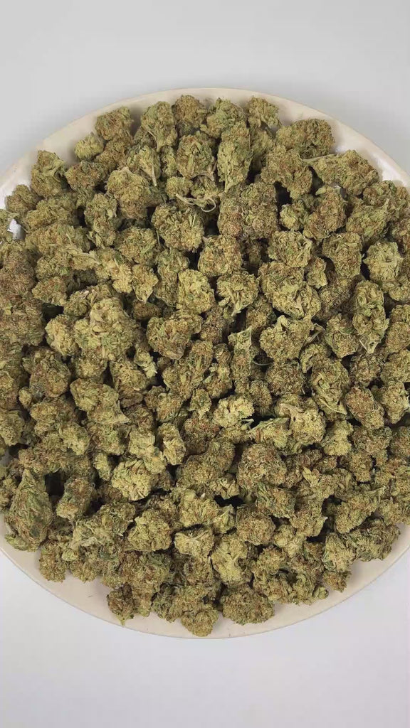 PUFFY Violet Fog is an indica-dominant hybrid THCa strain meticulously blended from Grape Gasoline and Khalifa Mints. The aroma is a bold and pungent blend of gassy fuel, bright zesty oranges, and sharp chemical undertones.  Visually, dense dark olive-green buds with purple hues and fiery orange pistils are coated in sticky trichomes. Consumers often report that it delivers a euphoric experience that smoothly melts away stress and gently guides both mind and body into peaceful, restorative relaxation. 