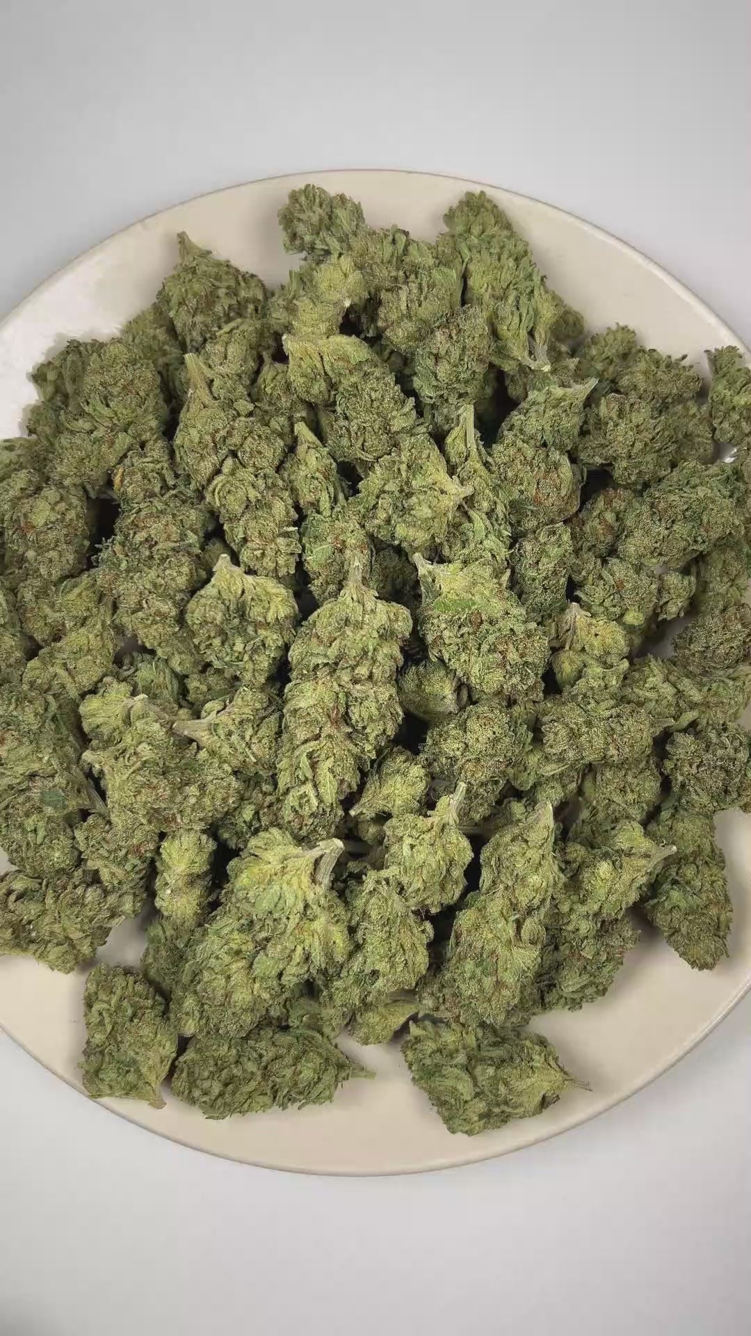 PUFFY Omerta OG is an indica-dominant hybrid THCa strain born from the iconic lineage of True OG and Pure Kush. The aroma is rich with pungent OG, fresh pine, and a bold diesel finish. Visually, dense forest green buds with hints of purple are threaded with fiery orange pistils and coated in a sparkling layer of sticky trichomes. Consumers often report feeling euphoric and uplifted, with waves of happiness and energetic effects that gradually give way to a calm, relaxed state. 