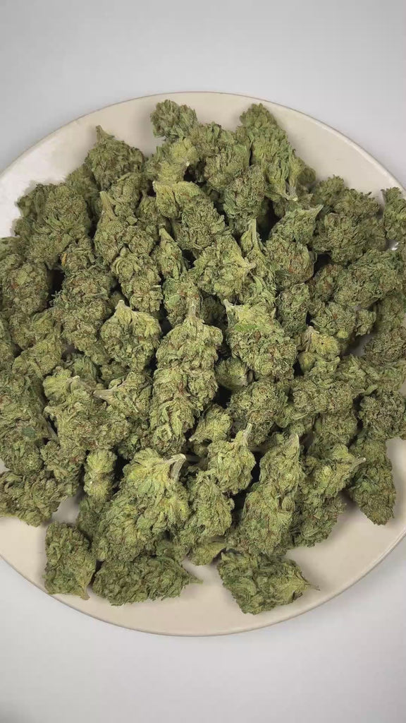 PUFFY Omerta OG is an indica-dominant hybrid THCa strain born from the iconic lineage of True OG and Pure Kush. The aroma is rich with pungent OG, fresh pine, and a bold diesel finish. Visually, dense forest green buds with hints of purple are threaded with fiery orange pistils and coated in a sparkling layer of sticky trichomes. Consumers often report feeling euphoric and uplifted, with waves of happiness and energetic effects that gradually give way to a calm, relaxed state. 