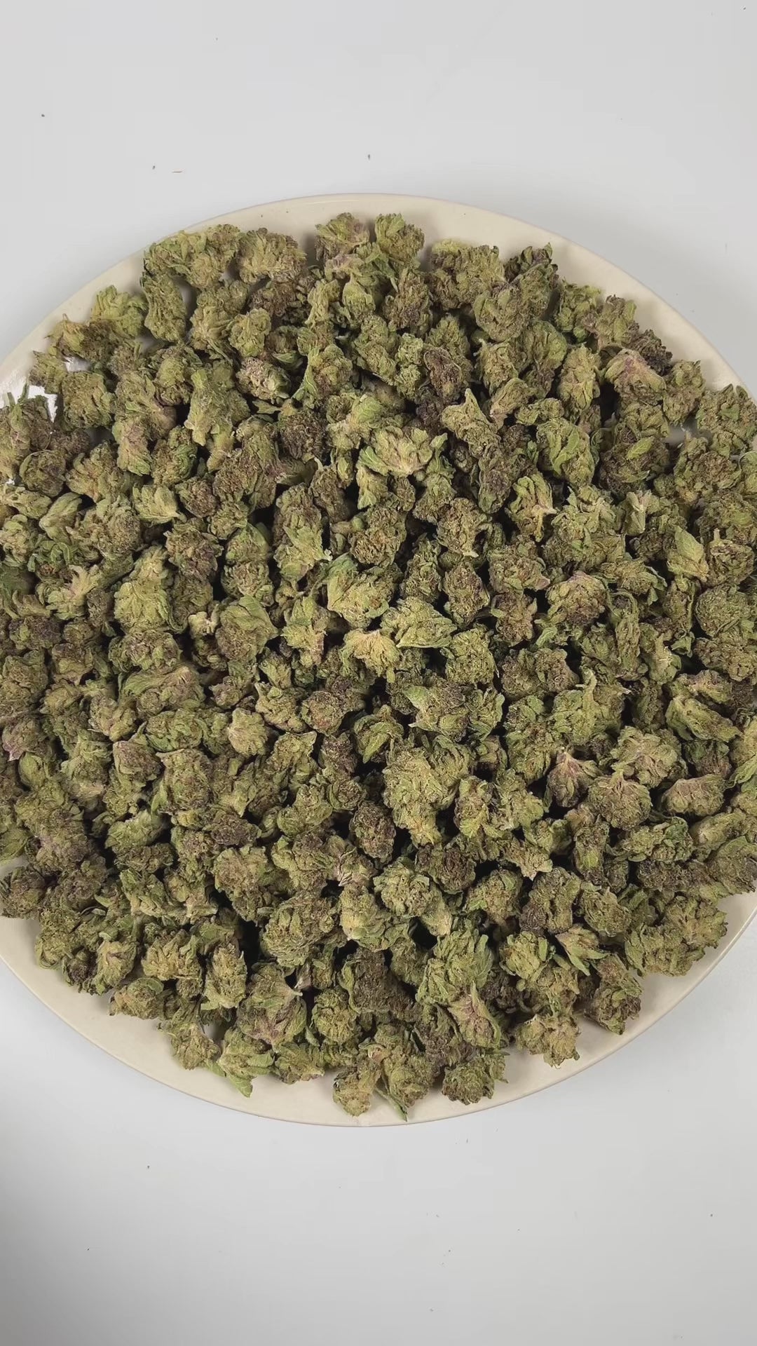 PUFFY Tropical Cherry (smalls) is a sativa-dominant hybrid THCa strain, originating from the fusion of Tropicana Cookies and Cherry Cookies. The aroma bursts with cherry, tropical, and fruity notes, creating a vibrant and sweet fragrance profile. Visually, the buds are dense, showcasing deep purple and green tones accented by bright orange pistils and a frosty trichome layer. Consumers often report a vibrant, uplifting high that boosts mood, sparks creativity, and enhances focus while offering a smooth sens