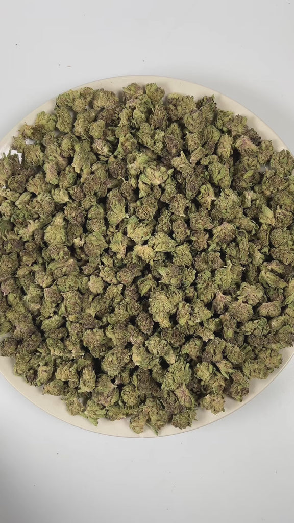 PUFFY Tropical Cherry (smalls) is a sativa-dominant hybrid THCa strain, originating from the fusion of Tropicana Cookies and Cherry Cookies. The aroma bursts with cherry, tropical, and fruity notes, creating a vibrant and sweet fragrance profile. Visually, the buds are dense, showcasing deep purple and green tones accented by bright orange pistils and a frosty trichome layer. Consumers often report a vibrant, uplifting high that boosts mood, sparks creativity, and enhances focus while offering a smooth sens