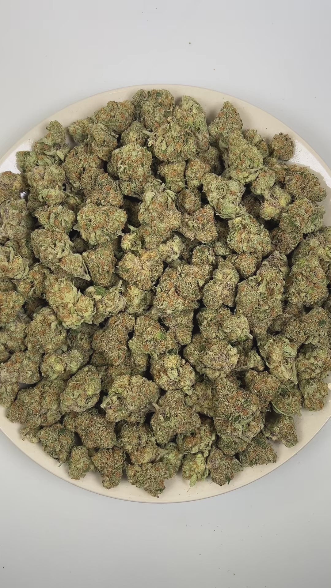 PUFFY Strawberry Cooler is an indica-dominant hybrid THCa strain prepared from a premium blend of  Strawberry Guava and Kush Mints. The aroma bursts with a vibrant fusion of tropical fruit sweetness, layered with juicy melon undertones and a bold, gassy diesel finish. Visually, dense forest green buds with purple hues and fiery orange pistils are coated in sticky trichomes. Consumers often report an experience characterized by euphoric, joyful, and deeply relaxed effects with an uplifting sense of mental cl