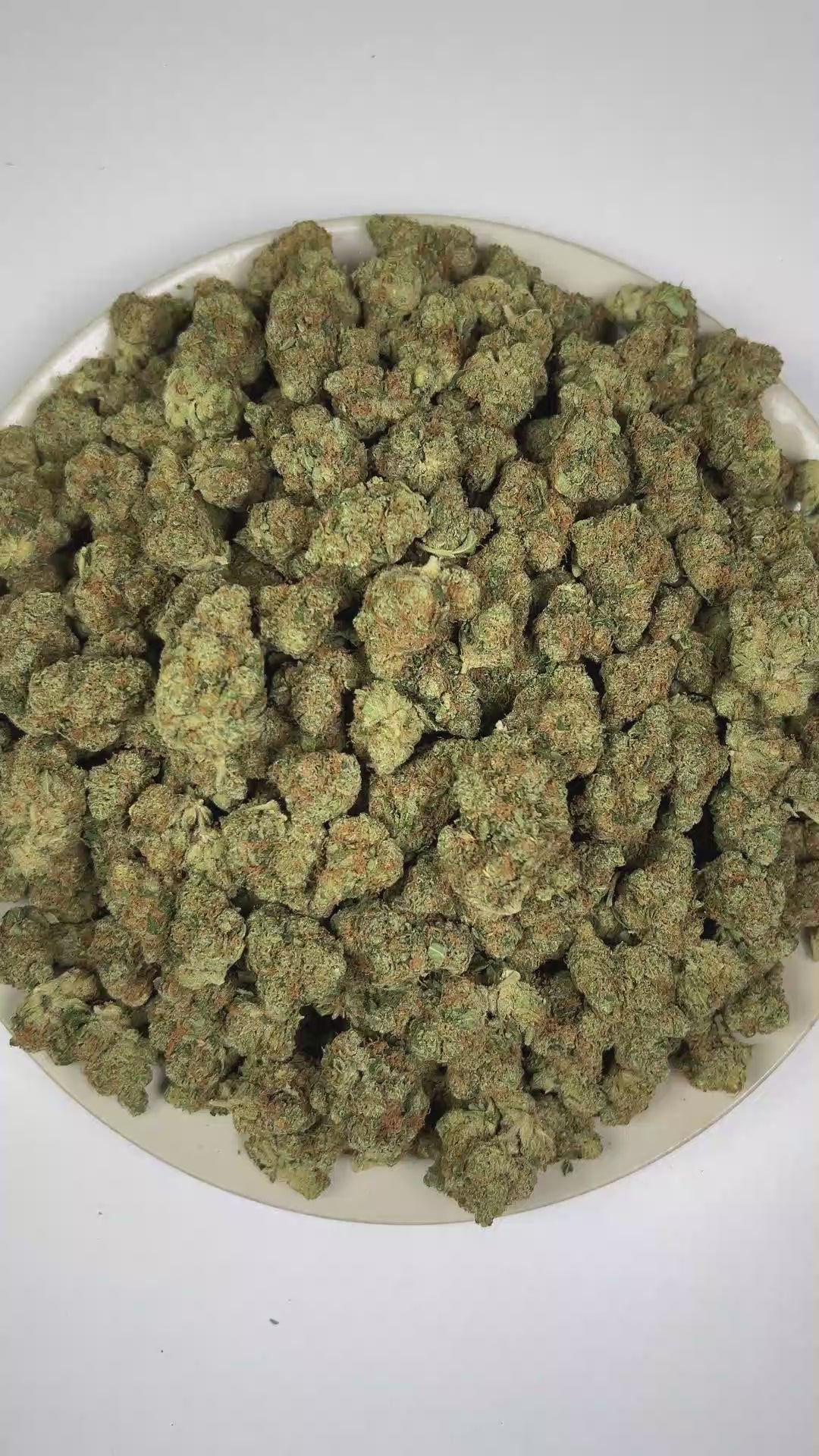PUFFY Purple Milk is a balanced hybrid THCa strain born from the flavorful fusion of Purple OG Kush and Bubba Kush. The aroma is rich and inviting, blending creamy vanilla with sweet berry and ripe grape notes. Visually, dense forest green buds with purple hues and fiery orange pistils are coated in sticky trichomes. Consumers often report a refined sense of euphoria accompanied by focused clarity and a smooth, relaxed state.