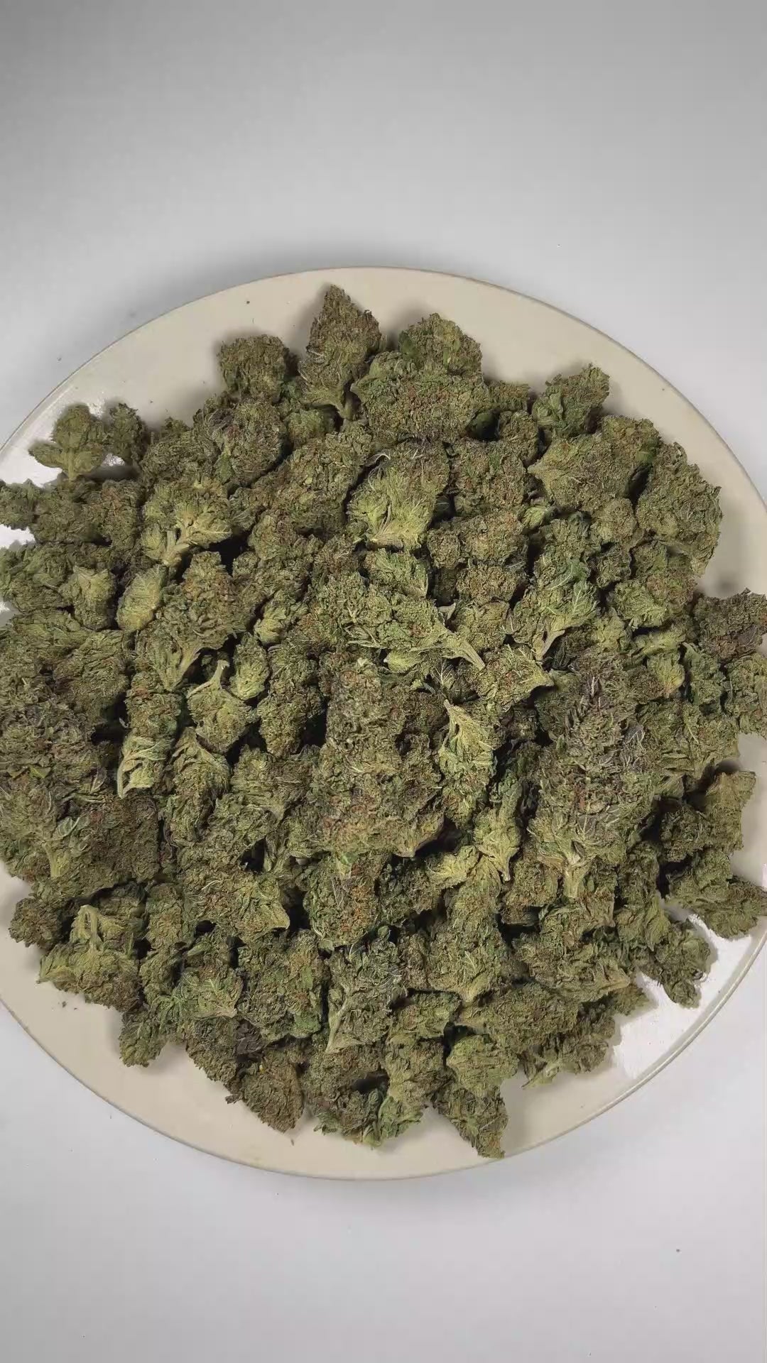 PUFFY Gas Runtz is a balanced hybrid THCa strain born from the strategic combination of Runtz and Gas House OG. The aroma is rich with fuel and sweet candy notes, with a juicy, fruity finish. Visually, dense forest green buds with hints of purple are threaded with fiery orange pistils and coated in a sparkling layer of sticky trichomes. Consumers often report that it delivers a euphoric, uplifting head high followed by smooth full-body relaxation, creating a balanced experience that feels both calming and e