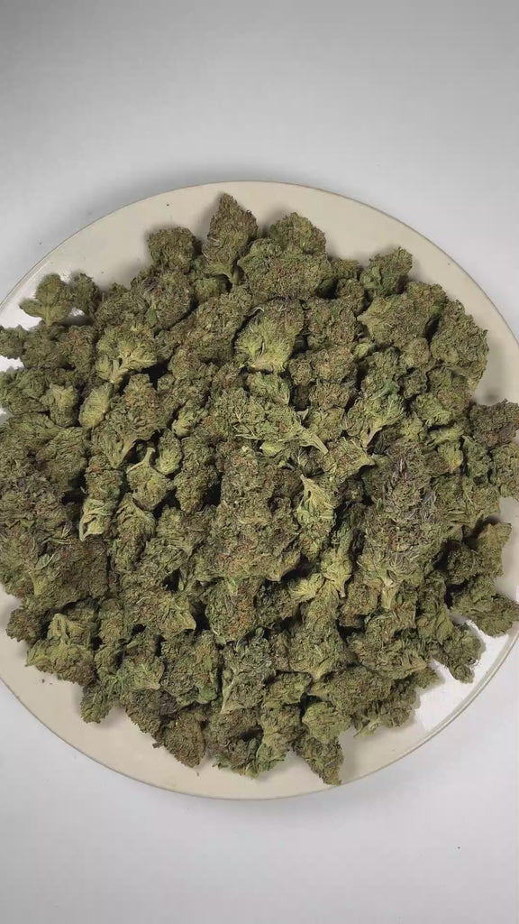 PUFFY Gas Runtz is a balanced hybrid THCa strain born from the strategic combination of Runtz and Gas House OG. The aroma is rich with fuel and sweet candy notes, with a juicy, fruity finish. Visually, dense forest green buds with hints of purple are threaded with fiery orange pistils and coated in a sparkling layer of sticky trichomes. Consumers often report that it delivers a euphoric, uplifting head high followed by smooth full-body relaxation, creating a balanced experience that feels both calming and e