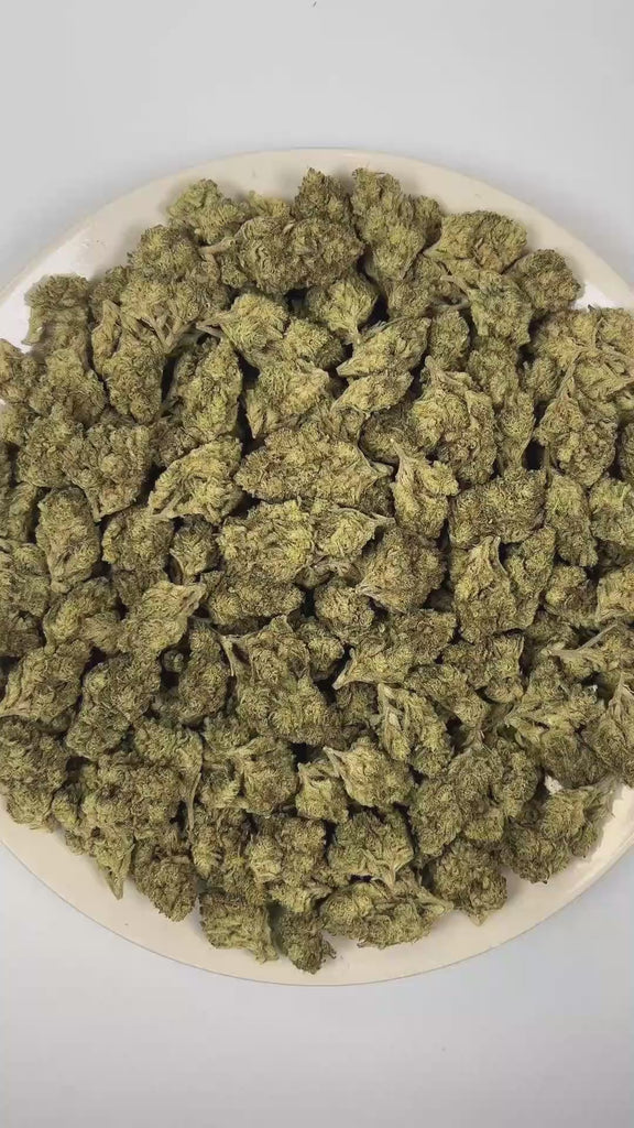 PUFFY Candied Grapefruit is a balanced hybrid THCa strain created from (Tangie × Blueberry Muffin) crossed with MAC and Cheese. The aroma opens with a sharp burst of grapefruit citrus, layered with pungent ammonia-like funk and deep gasoline undertones. Visually, dense forest green buds with purple hues and fiery orange pistils are coated in sticky trichomes. Consumers often report an uplifting sense of euphoria, enhanced mood, clear-headed mental focus, and a gently calming relaxation that promotes overall