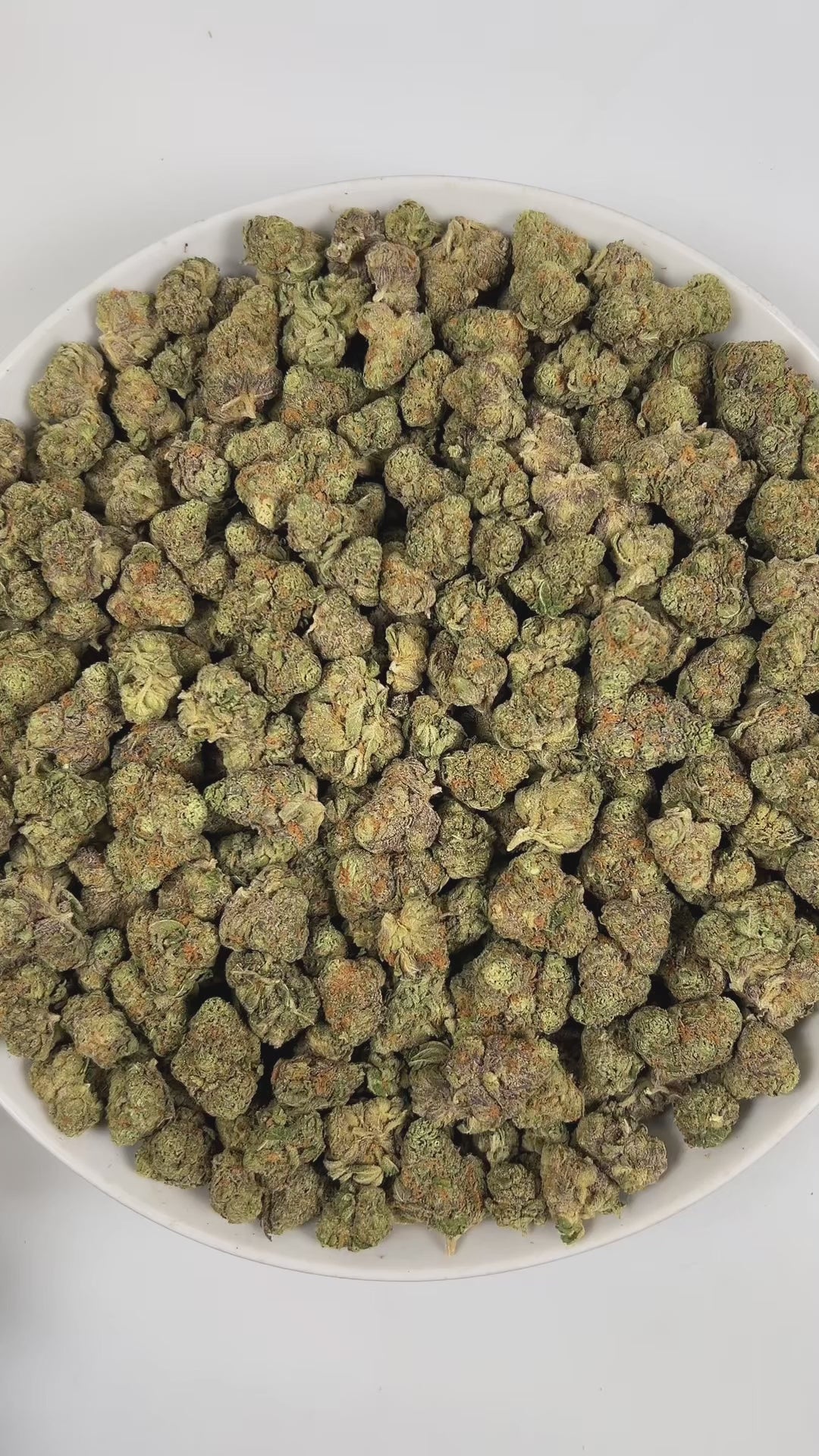 PUFFY Glitter Bomb is an indica-dominant hybrid THCa strain born from the flavorful cross of Grape Gas #10 and OGKB Blueberry Headband. The aroma is a captivating blend of floral notes, rich gassy undertones, and a burst of tropical sweetness. Visually, the buds are dense and deep forest green with striking purple hues, bright orange pistils, and a heavy coating of sparkling white trichomes. Consumers report a bright rush of cerebral uplift that gently settles into a soothing, full-body calm, leaving them g