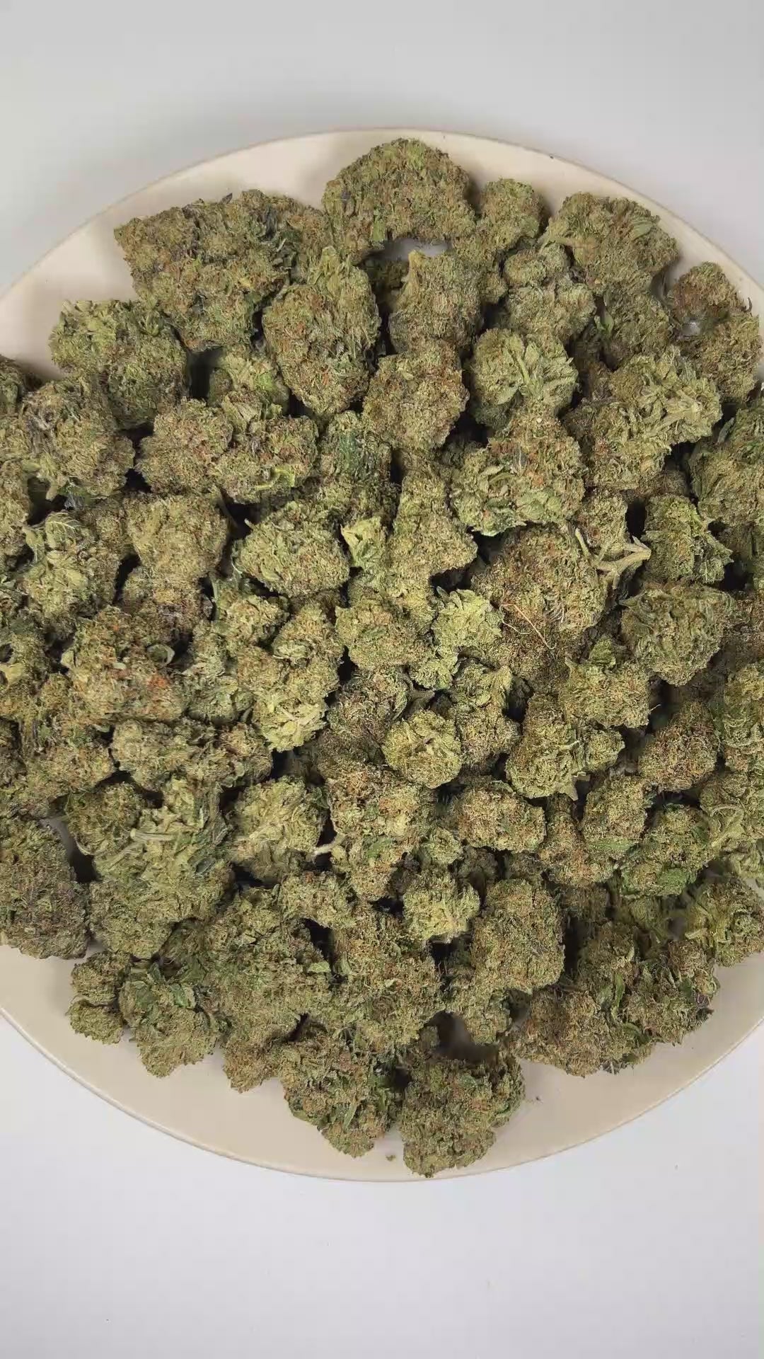 PUFFY Grease Monkey is a potent indica-dominant hybrid THCa strain resulting from the strategic pairing of GG4 and Cookies and Cream. The aroma opens with bold skunky notes layered with rich diesel gas and a pungent earthy finish. Visually, dense forest green buds with purple hues and fiery orange pistils are coated in sticky trichomes. Consumers often report a euphoric cerebral buzz that elevates the mood and inspires creativity before gradually melting into deep body relaxation, helping to ease tension an