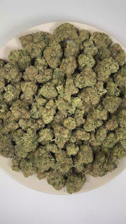 PUFFY Grease Monkey is a potent indica-dominant hybrid THCa strain resulting from the strategic pairing of GG4 and Cookies and Cream. The aroma opens with bold skunky notes layered with rich diesel gas and a pungent earthy finish. Visually, dense forest green buds with purple hues and fiery orange pistils are coated in sticky trichomes. Consumers often report a euphoric cerebral buzz that elevates the mood and inspires creativity before gradually melting into deep body relaxation, helping to ease tension an