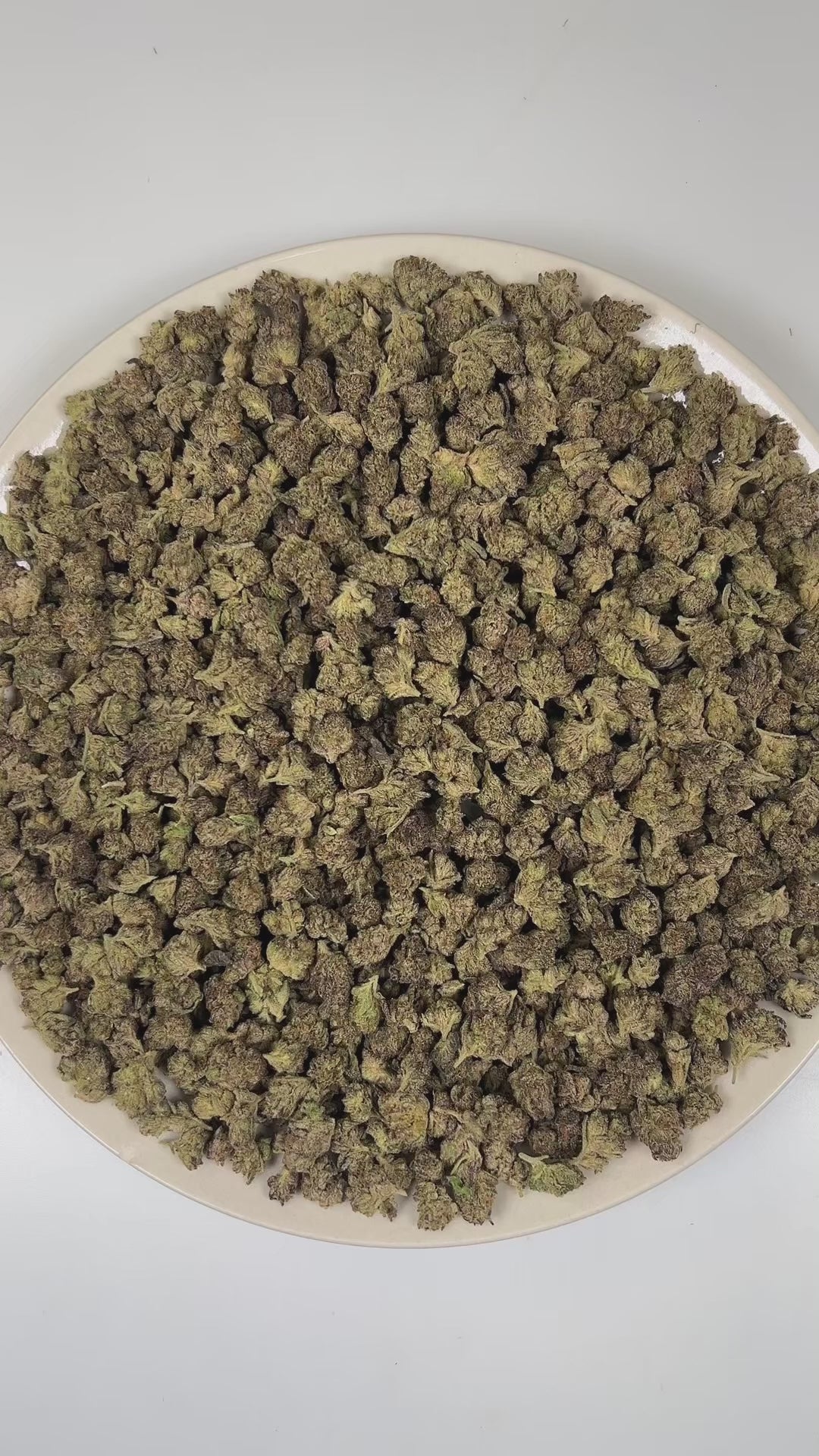 PUFFY Gelato Cream (smalls) is a balanced hybrid THCa strain bred through the premium union of Wedding Cake and Gelato 33. The aroma of this strain is a rich blend of sweet candy notes layered with creamy undertones and smooth vanilla. Visually, dense deep forest green buds with purple hues and fiery orange pistils are coated in sticky trichomes. Consumers often report feeling euphoric, energetic, uplifted, creative, joyful, and gently relaxed, creating a balanced and mood-enhancing experience that supports
