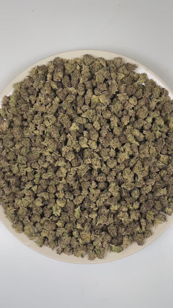 PUFFY Gelato Cream (smalls) is a balanced hybrid THCa strain bred through the premium union of Wedding Cake and Gelato 33. The aroma of this strain is a rich blend of sweet candy notes layered with creamy undertones and smooth vanilla. Visually, dense deep forest green buds with purple hues and fiery orange pistils are coated in sticky trichomes. Consumers often report feeling euphoric, energetic, uplifted, creative, joyful, and gently relaxed, creating a balanced and mood-enhancing experience that supports
