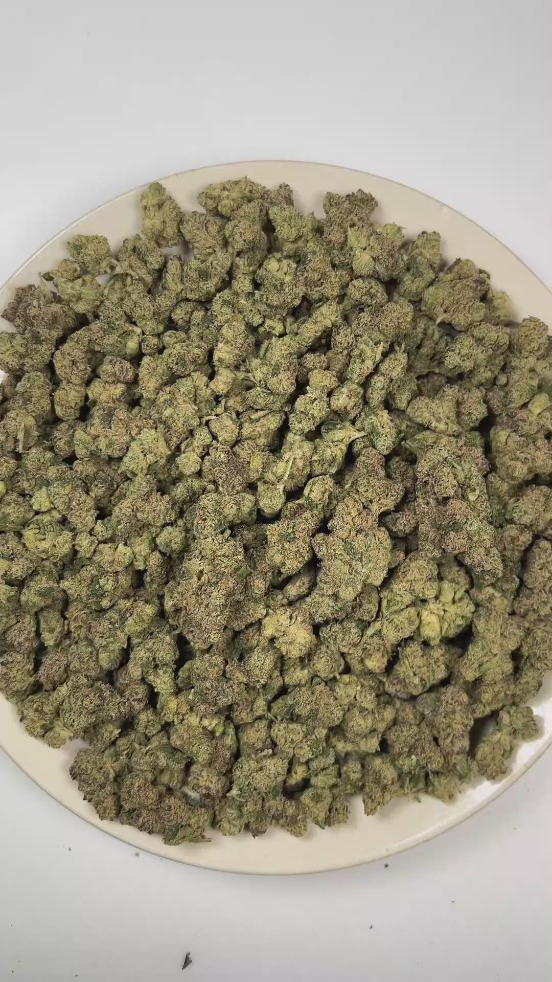 PUFFY Sour Sherbert is a balanced hybrid THCa strain formed through the strategic blending of Sour Diesel and Sherbet. The aroma is a vibrant blend of sour tropical fruit notes, balanced by a sweet, playful Candy finish. Visually, dense forest green buds with purple hues and fiery orange pistils are coated in sticky trichomes. Consumers often report feeling euphoric and uplifted with energetic, focused, and relaxed effects. 