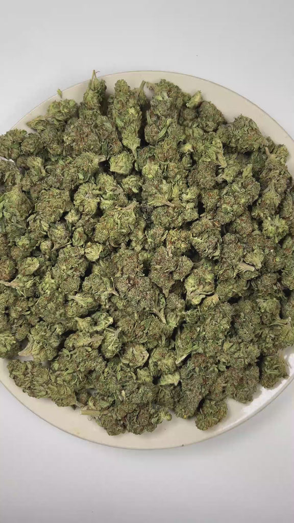 PUFFY Omega is an indica-dominant hybrid THCa strain emerged from the powerhouse cross of White Widow × Kush × NYC Diesel × Permafrost. The aroma opens with classic OG and earthy herbal notes, finishing with a crisp, refreshing hint of pine. Visually, dense deep forest green buds with purple hues and fiery orange pistils are coated in sticky trichomes. Consumers often report feeling euphoric, relaxed, and uplifted, promoting a positive mood while maintaining a clear sense of focus. 