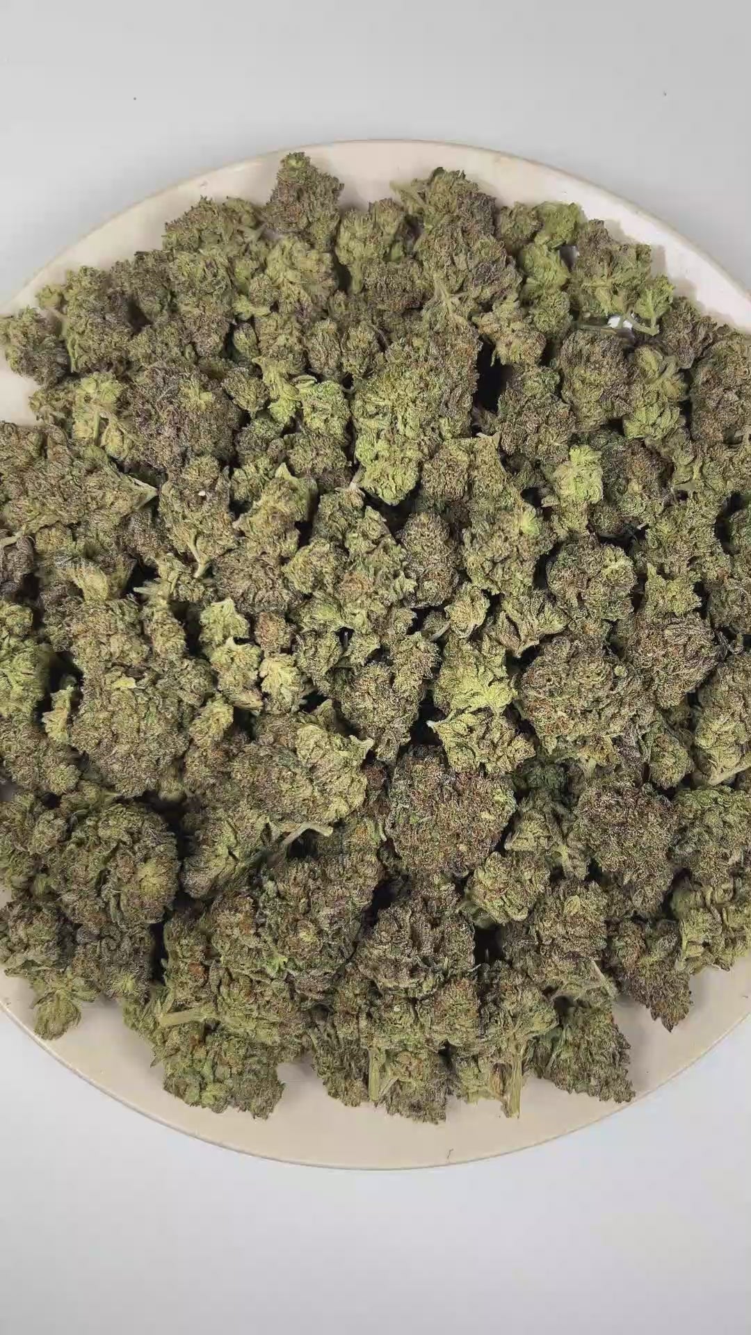 PUFFY Funky Runtz is a balanced hybrid THCa strain whose exact genetics remain unconfirmed, leaving its true lineage unknown. The aroma is a delightful blend of sweet candy and rich creamy notes, rounded out by a smooth, fruity finish. Visually, dense deep forest green buds with purple hues and fiery orange pistils are coated in sticky trichomes. Consumers often report euphoric effects that bring mental clarity, fuel creativity, and promote peaceful relaxation. 
