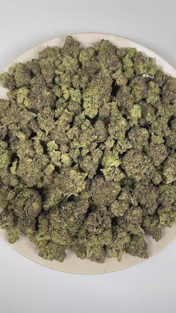 PUFFY Funky Runtz is a balanced hybrid THCa strain whose exact genetics remain unconfirmed, leaving its true lineage unknown. The aroma is a delightful blend of sweet candy and rich creamy notes, rounded out by a smooth, fruity finish. Visually, dense deep forest green buds with purple hues and fiery orange pistils are coated in sticky trichomes. Consumers often report euphoric effects that bring mental clarity, fuel creativity, and promote peaceful relaxation. 
