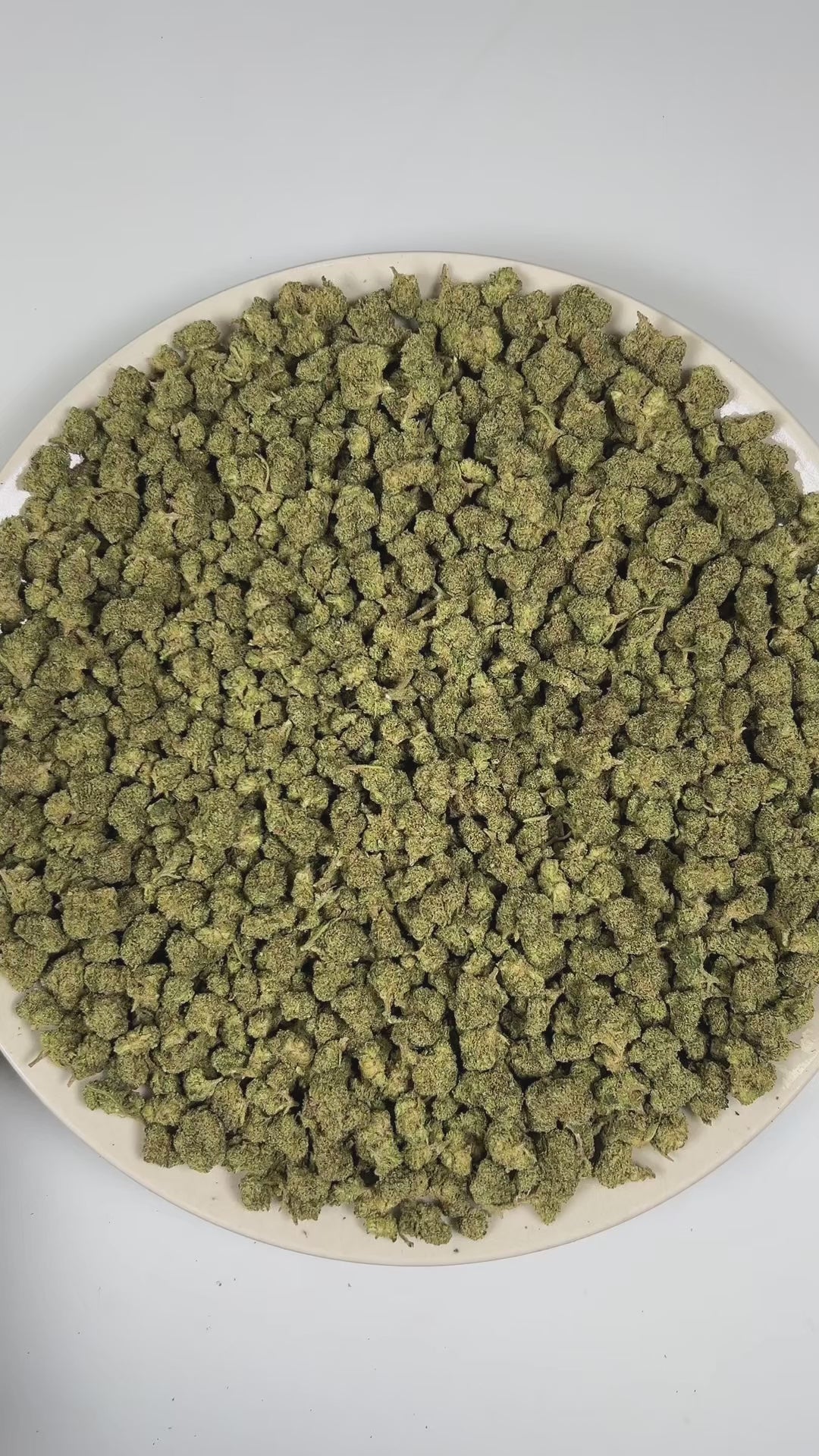 PUFFY Key Lime Jack (smalls) is a balanced hybrid THCa strain derived from the skillfully blended cross of Bling Cheesecake and Jack Herer. The aroma unfolds with distinct chemical undertones layered over crisp pine freshness and bright citrus zest. Visually, dense forest green buds with purple hues and fiery orange pistils are coated in sticky trichomes. Consumers often report feeling euphoric, uplifted, and focused, accompanied by a clear-headed sense of relaxation that keeps the mind sharp and the body a