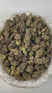 PUFFY Gelato 44 is an Indica-dominant hybrid THCa strain born from the flavorful cross of Sunset Sherbet and Thin Mint Girl Scout Cookies. The aroma delivers a rich fusion of earthy depth, creamy smoothness, and a bold gassy punch, offering a full-bodied sensory experience that mirrors its potent character. Visually, the buds are dense, frosty, and resin-coated, showcasing deep forest greens accented with purple hues and vivid orange pistils. Consumers often report an initial cerebral rush that feels uplift