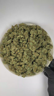 PUFFY Agent Orange is a balanced hybrid THCa strain crafted from the powerful genetic pairing of Orange Velvet and Jack the Ripper. The aroma is an elevated blend of ripe orange and distinctive funky notes, rounded out by a refined musky finish. Visually, dense rich green buds with purple hues and fiery orange pistils are coated in sticky trichomes. Consumers often report an elevated sense of euphoria and happiness, accompanied by an uplifting mood and a refined sense of mental focus. 