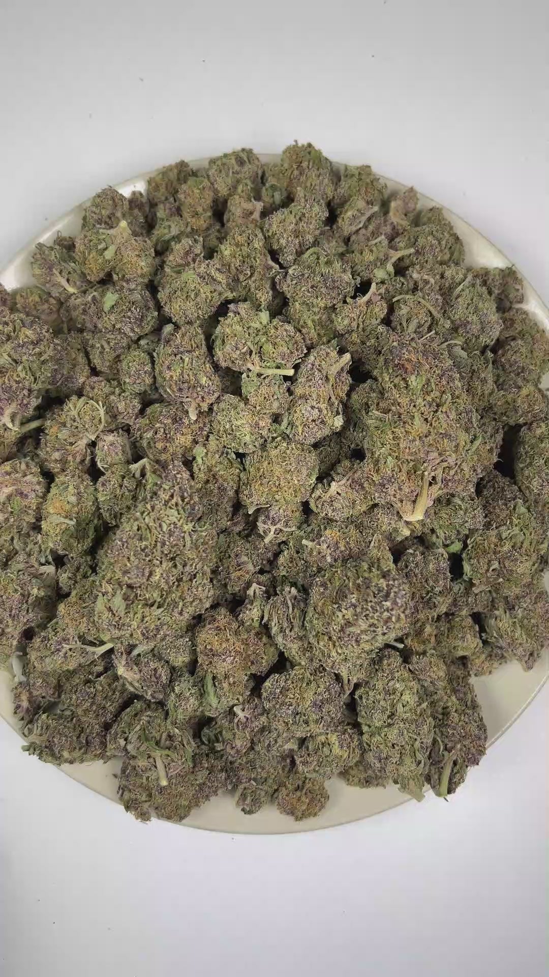 PUFFY Tropical Cherry is a sativa-dominant hybrid THCa strain, typically bred by crossing Tropicana Cookies with Cherry Cookies. The aroma is a vibrant blend of bright citrus, ripe cherry notes, and a distinctive gassy finish. Visually, the buds are dense and oversized, showcasing deep purple and green tones accented by bright orange pistils and a frosty trichome layer. Consumers often report a vibrant, uplifting high that boosts mood, sparks creativity, and enhances focus while offering a smooth sense of p