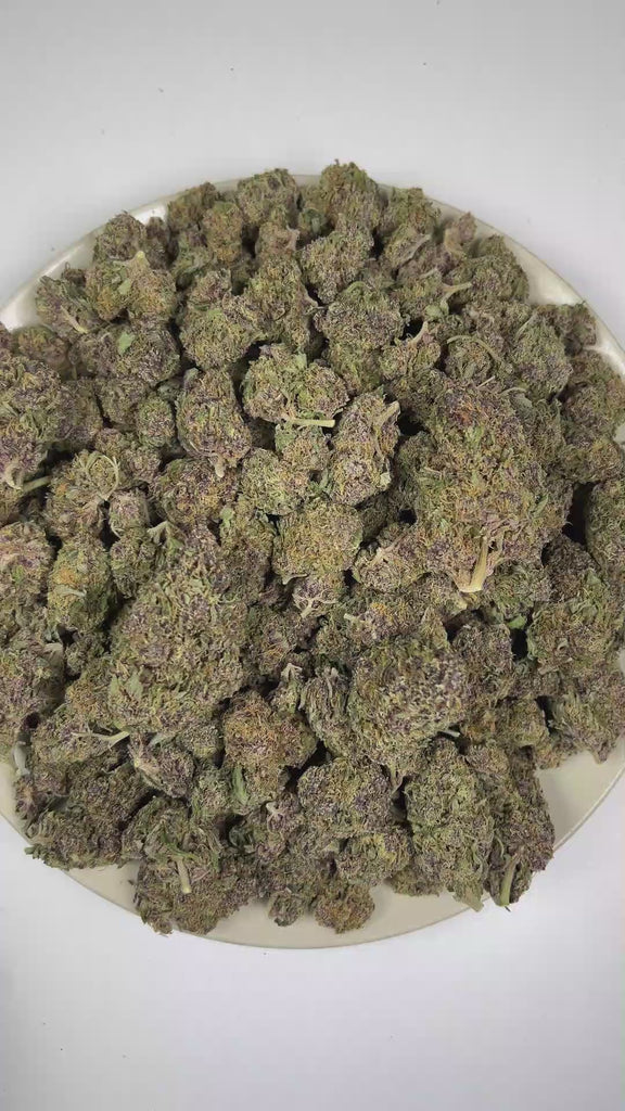 PUFFY Tropical Cherry is a sativa-dominant hybrid THCa strain, typically bred by crossing Tropicana Cookies with Cherry Cookies. The aroma is a vibrant blend of bright citrus, ripe cherry notes, and a distinctive gassy finish. Visually, the buds are dense and oversized, showcasing deep purple and green tones accented by bright orange pistils and a frosty trichome layer. Consumers often report a vibrant, uplifting high that boosts mood, sparks creativity, and enhances focus while offering a smooth sense of p