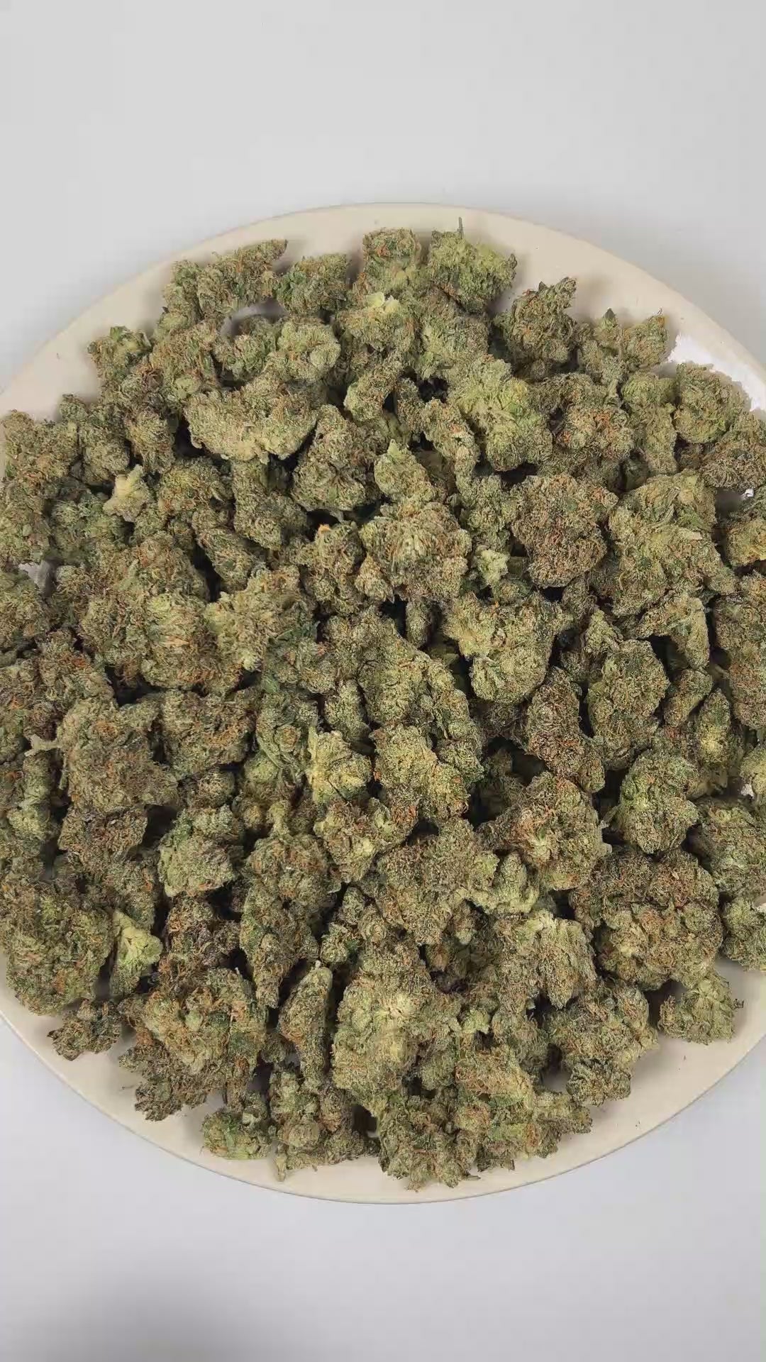PUFFY Gorilla Butter is a balanced hybrid THCa strain originating from the iconic cross of Gorilla Glue 4 (also known as GG4) and Peanut Butter Breath. The aroma is a potent blend of sticky, glue-like resin, sharp gassy fuel, and fresh, crisp pine. Visually, dense forest green buds with purple hues and fiery orange pistils are coated in sticky trichomes. Consumers often report an euphoric, soothing body relaxation, an uplifted mood, a mild boost in creativity, calmness with a sociable, easygoing vibe. 