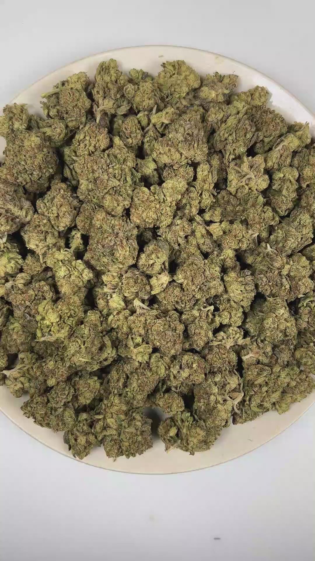 PUFFY Black Sugar is an indica-dominant hybrid THCa strain derived from the potent genetic collaboration of  Black Domina × LA OG Kush × Critical. The aroma opens with sharp pine and pungent diesel notes, finishing with a crisp, refreshing hint of eucalyptus. Visually, dense forest green buds with purple hues and fiery orange pistils are coated in sticky trichomes. Consumers often report a euphoric sense of well-being accompanied by deeply relaxing, calming effects that encourage a peaceful and laid-back ex