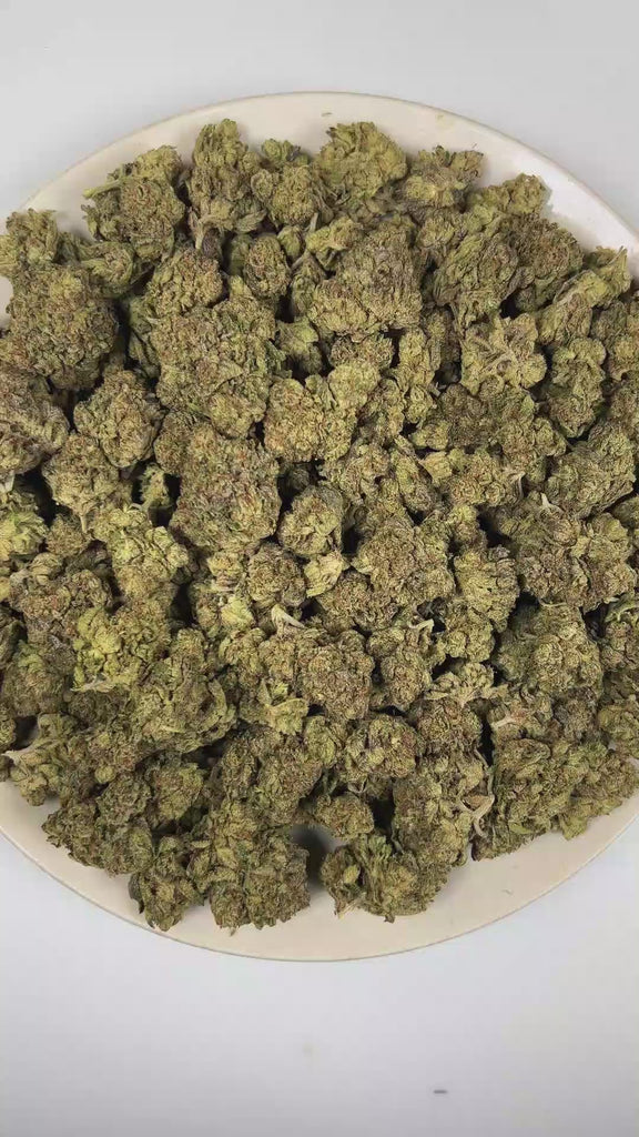 PUFFY Black Sugar is an indica-dominant hybrid THCa strain derived from the potent genetic collaboration of  Black Domina × LA OG Kush × Critical. The aroma opens with sharp pine and pungent diesel notes, finishing with a crisp, refreshing hint of eucalyptus. Visually, dense forest green buds with purple hues and fiery orange pistils are coated in sticky trichomes. Consumers often report a euphoric sense of well-being accompanied by deeply relaxing, calming effects that encourage a peaceful and laid-back ex