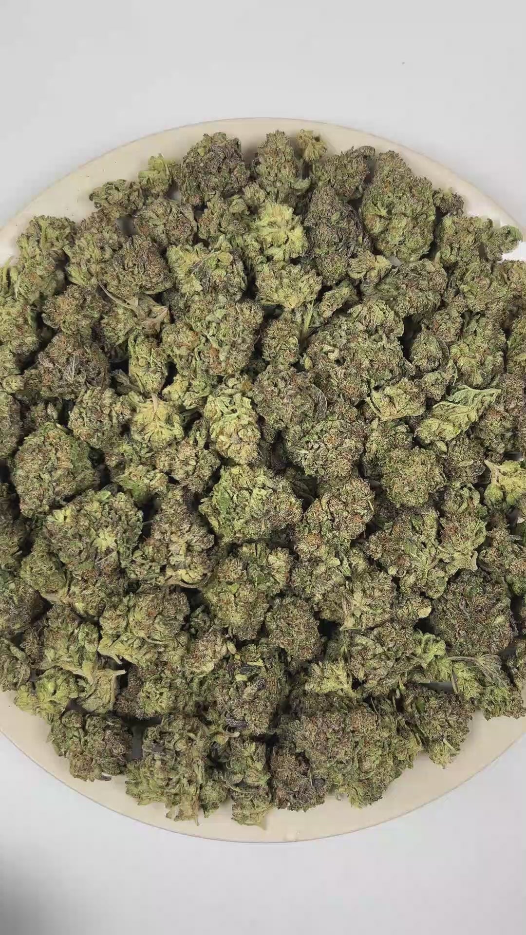 PUFFY Wedding Cake is an indica-dominant hybrid THCa strain created by crossing Triangle Cherry Pie and Girl Scout Cookies (GSC). The aroma blends rich creamy sweetness with vibrant fruity notes and a warm, freshly baked doughy finish. Visually, the buds are dense and vibrant, with forest green and purple hues coated in frosty trichomes and bright orange pistils. Consumers often report a euphoric, uplifted mood paired with a relaxing body high, along with a creative and social spark in lighter use. 