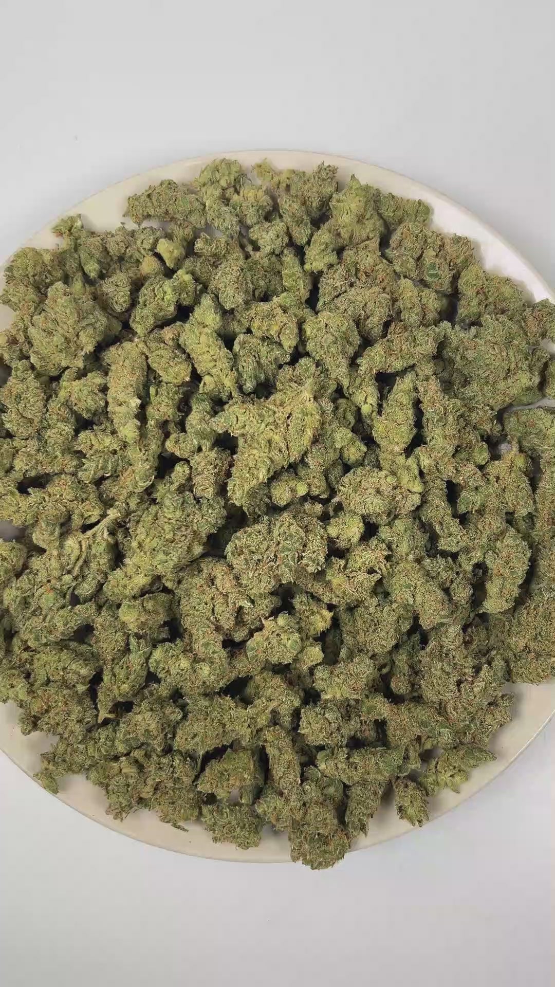 PUFFY Super Jack is a sativa-dominant hybrid THCa strain, born from the legendary cross of Super Silver Haze and Jack Herer. The aroma is a sharp, pungent blend of ammonia and chemical-like intensity, rounded out by bright, zesty citrus notes that add a fresh, tangy lift. Visually, dense forest green buds with purple hues and fiery orange pistils are coated in sticky trichomes. Consumers often report an euphoric, mentally clear, and energetic experience accompanied by enhanced creativity and an overall upli