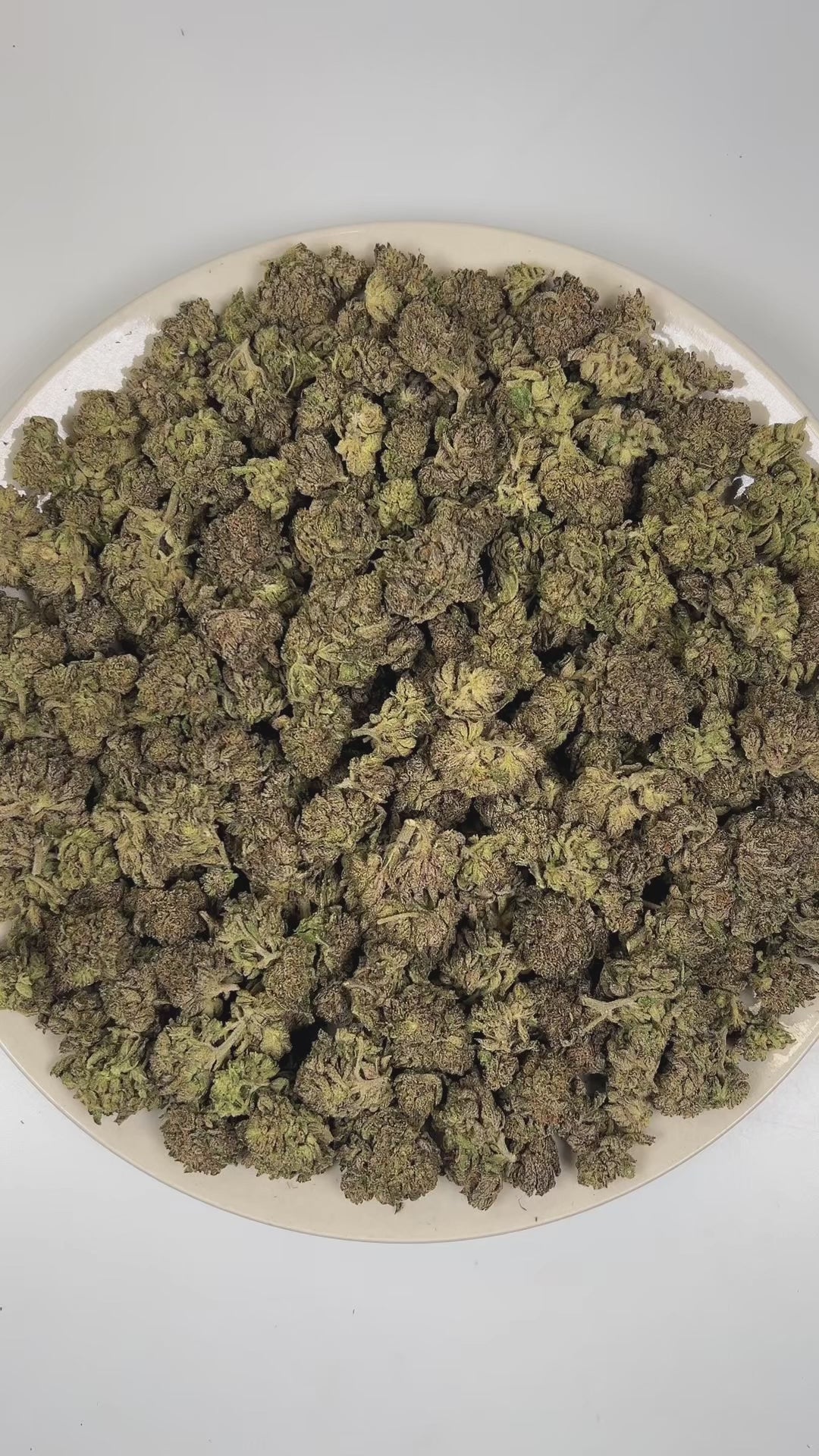 PUFFY Sherb Pop is a balanced hybrid THCa strain meticulously blended from Sunset Sherbet and Orange Push Pop. The aroma is a bold blend of smoky undertones, heavy gassy notes, and sharp diesel fuel. Visually, dense green buds with purple hues and fiery orange pistils are coated in sticky trichomes. Consumers often report an initial euphoric mood lift and gentle cerebral sweetness that gradually transitions into deep body relaxation and calm.
