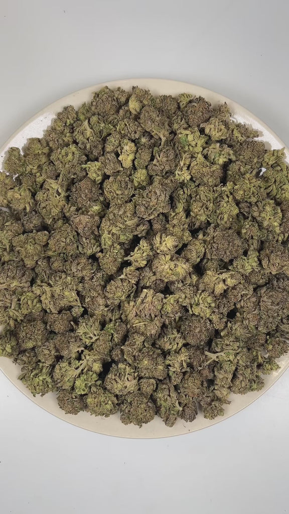 PUFFY Sherb Pop is a balanced hybrid THCa strain meticulously blended from Sunset Sherbet and Orange Push Pop. The aroma is a bold blend of smoky undertones, heavy gassy notes, and sharp diesel fuel. Visually, dense green buds with purple hues and fiery orange pistils are coated in sticky trichomes. Consumers often report an initial euphoric mood lift and gentle cerebral sweetness that gradually transitions into deep body relaxation and calm.
